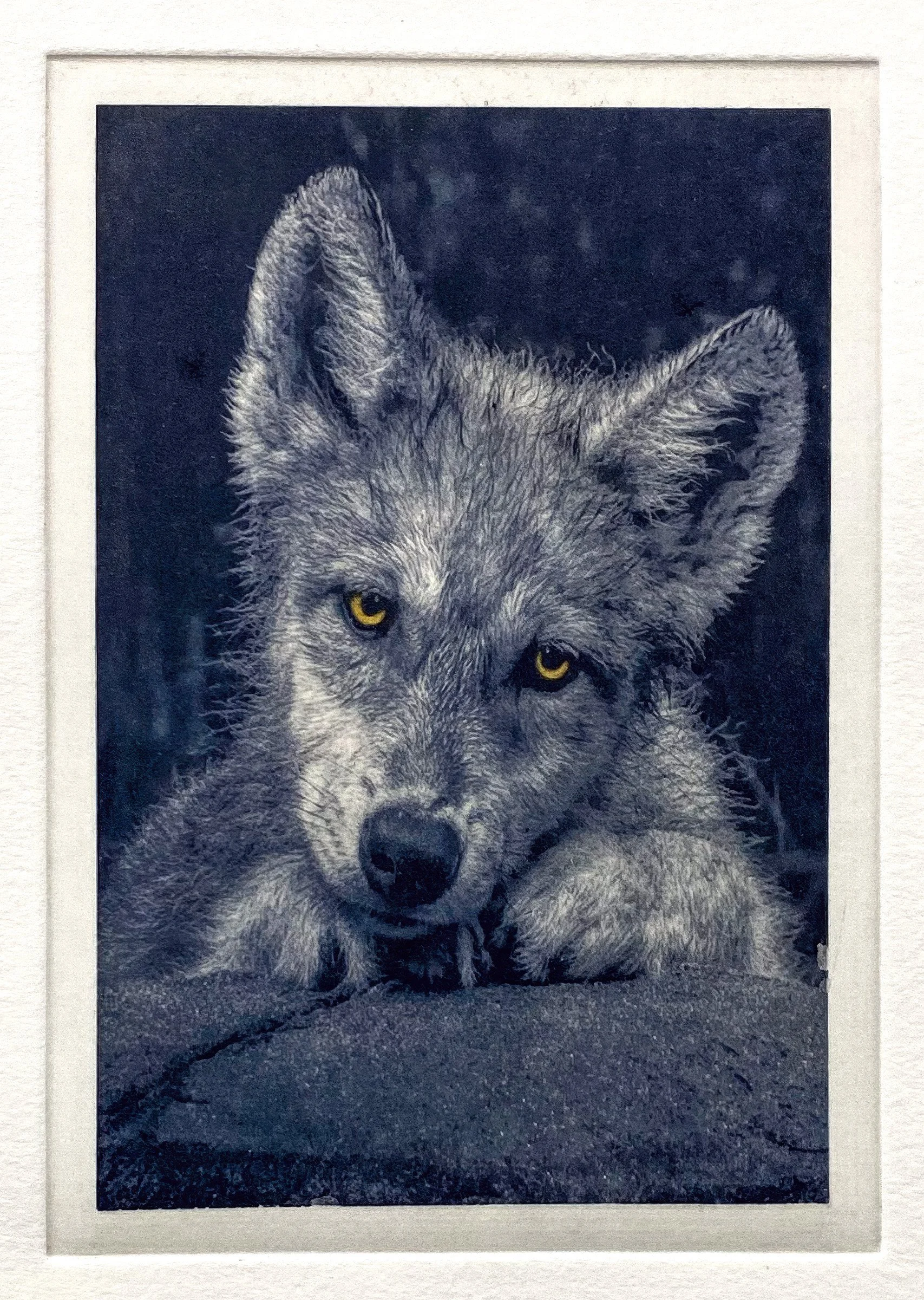 "Wild Child" copper plate photogravure with minor hand-coloring, by artist Susan James. Edition of 50 pieces plus five artist proofs. Click the image for more information.