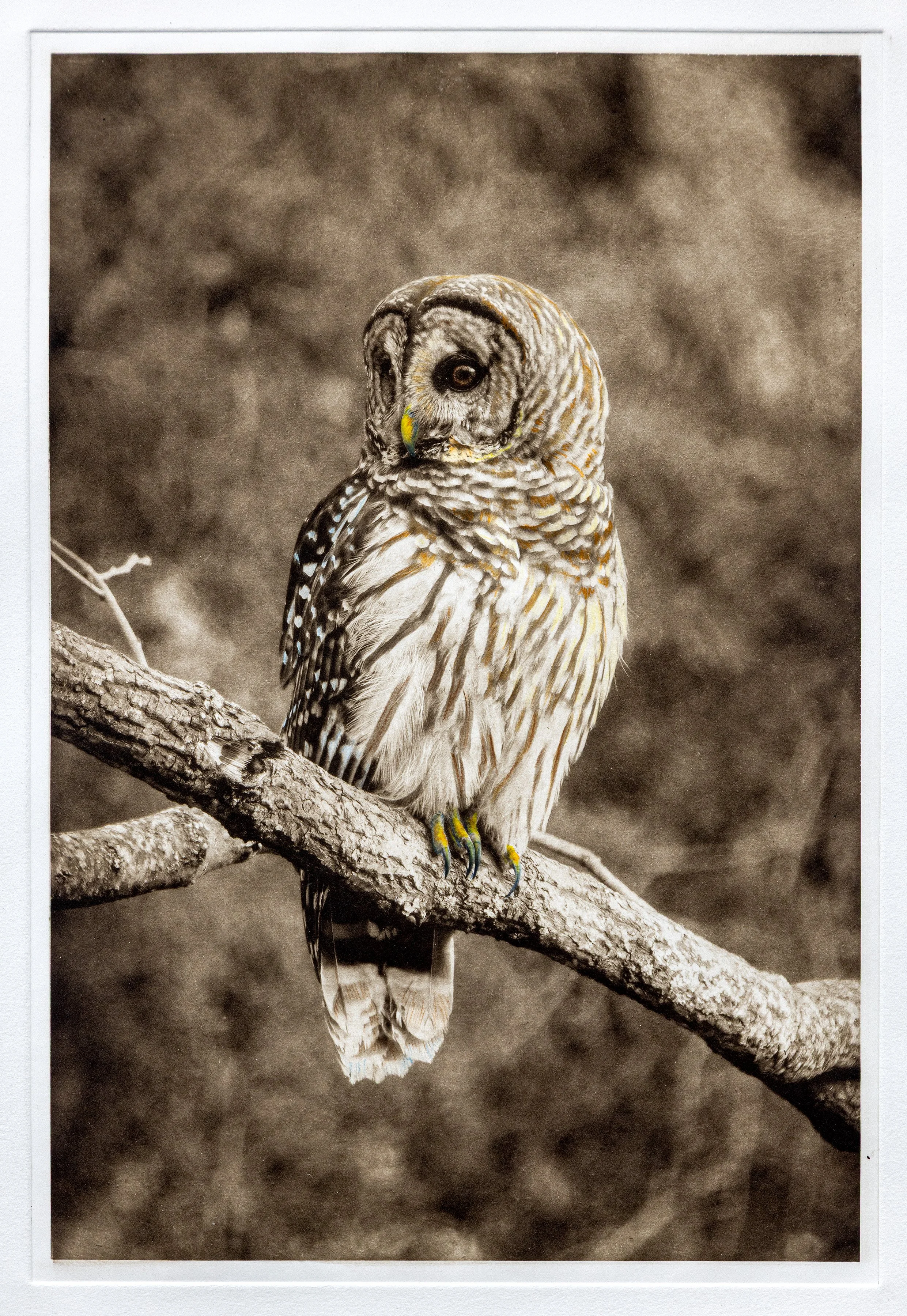 National Juried Art Show, Douglas Cultural Arts Center