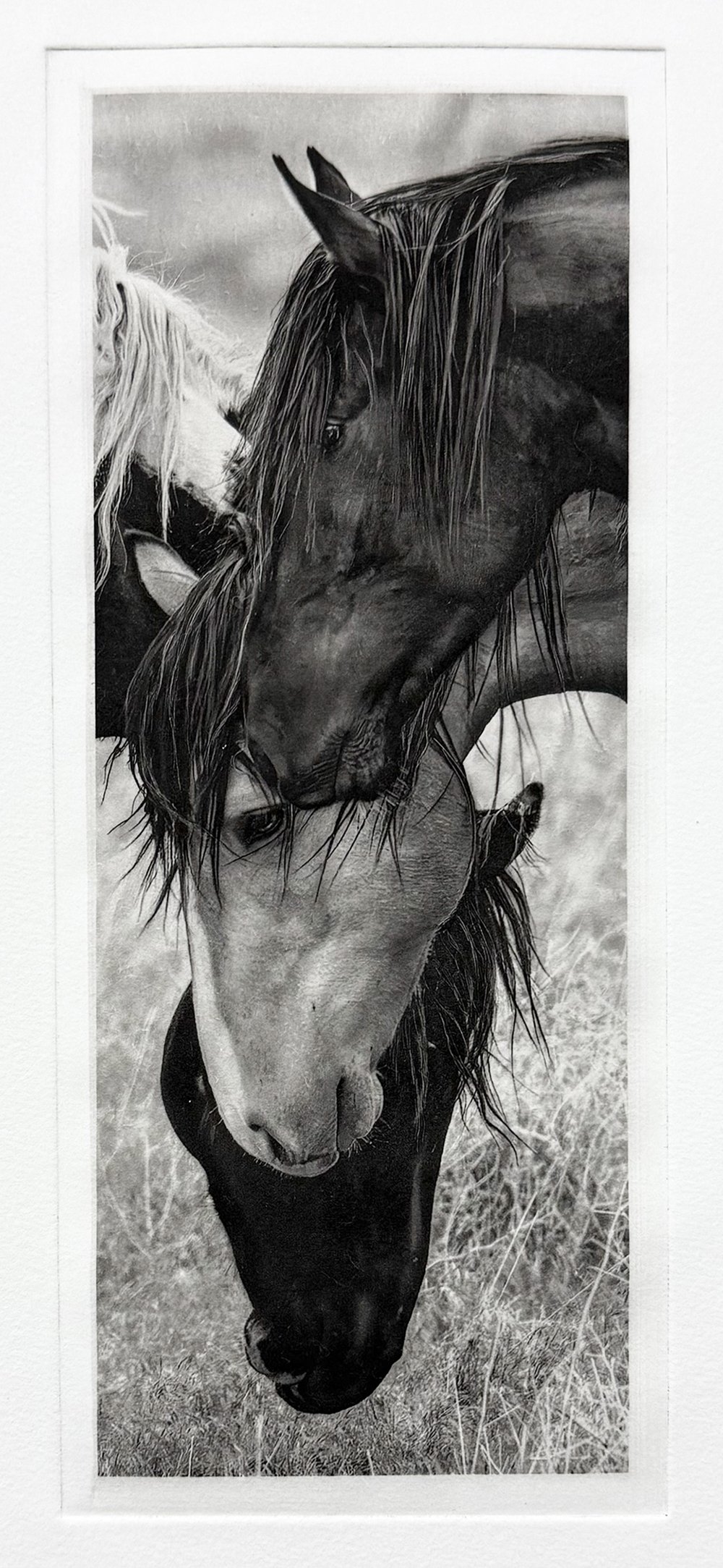 Masters of Equine Art