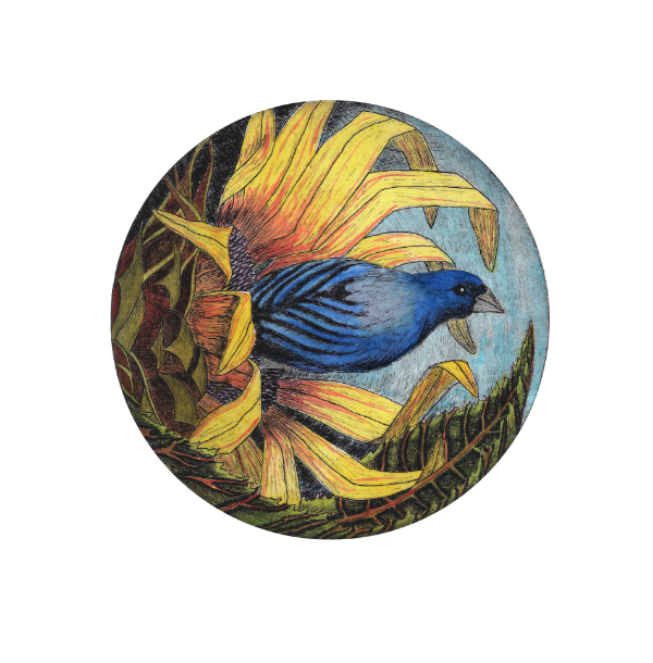 Panoply Art Festival 2026