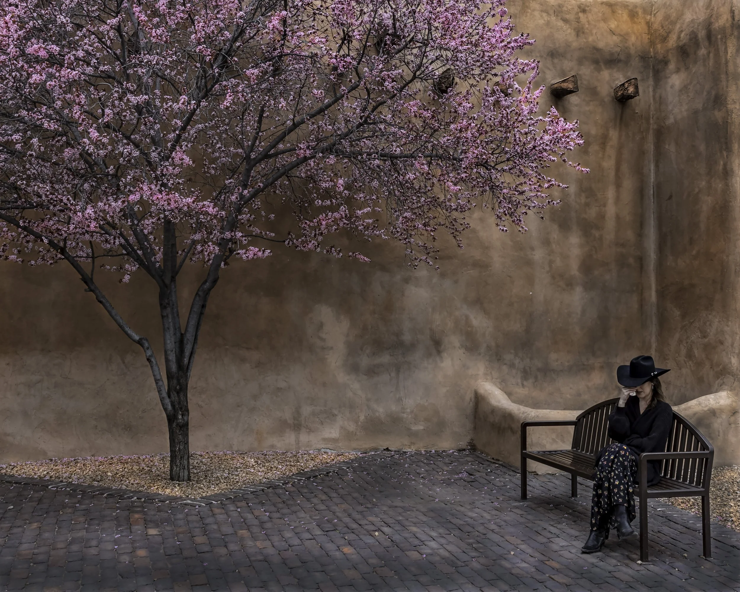 "Blossoms & Tears" A woman dabbing tears in an unguarded moment. She is unaware of, or in her sadness perhaps unable to enjoy, the beautiful blooms of the tree that shares the courtyard with her. Photographed by Susan James, Santa Fe, NM. April 2