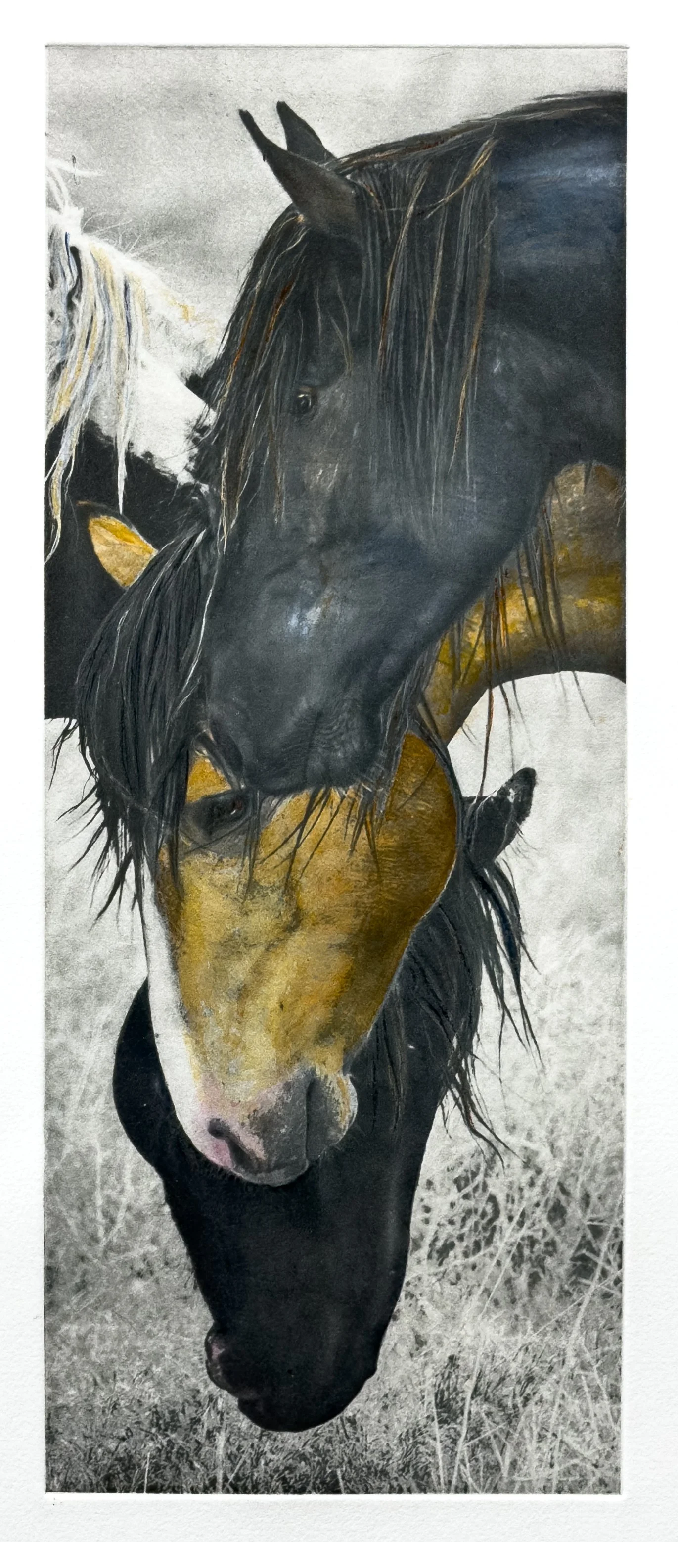 "Communion" Hand-colored copper plate photogravure, by artist Susan James.  Edition of 59 pieces plus five artist proofs.  Click image for more information.