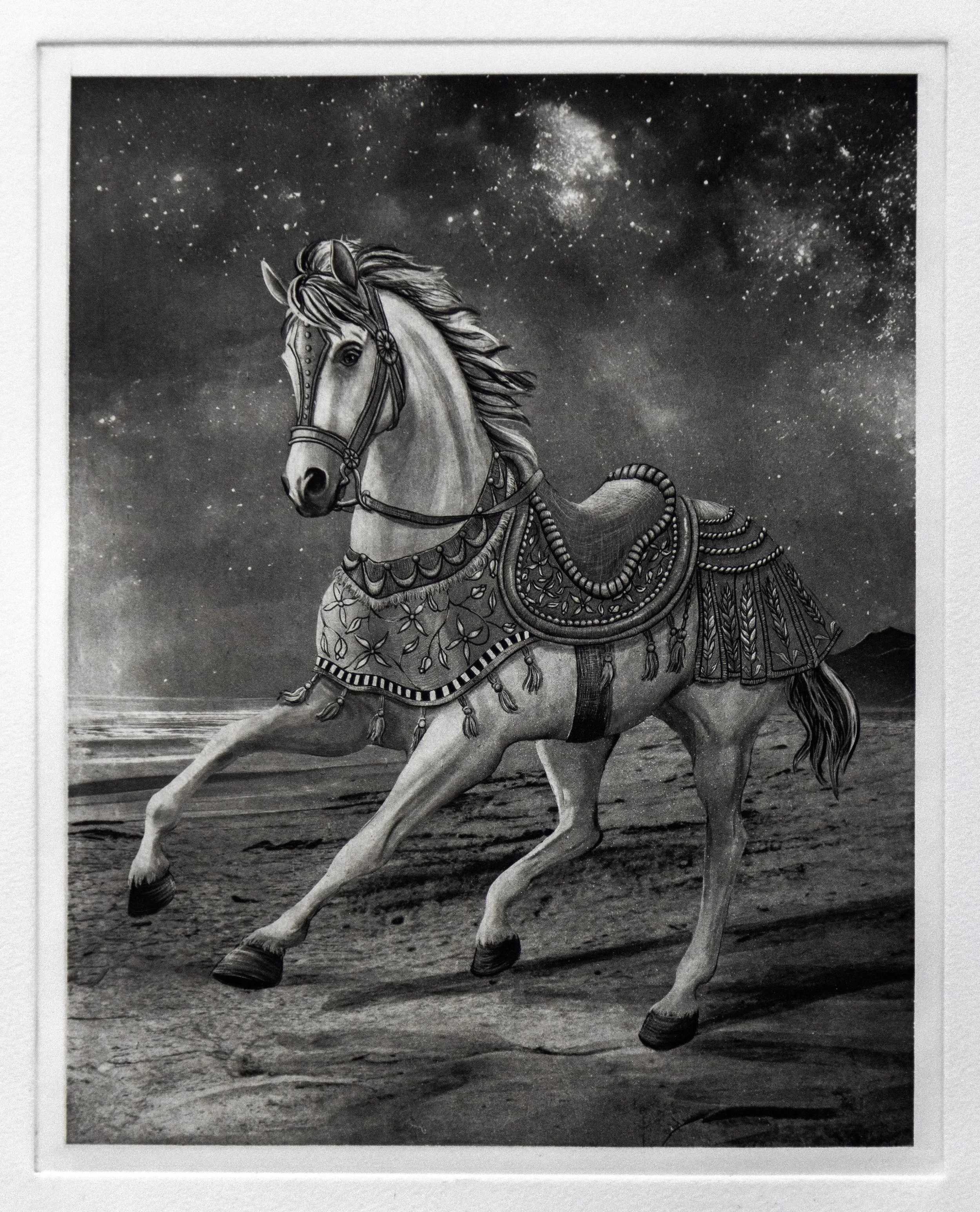 "Titus" Copper plate photogravure created from digital drawing by artist Susan James. Edition of 30 pieces plus three artist proofs. Click the image for more information.