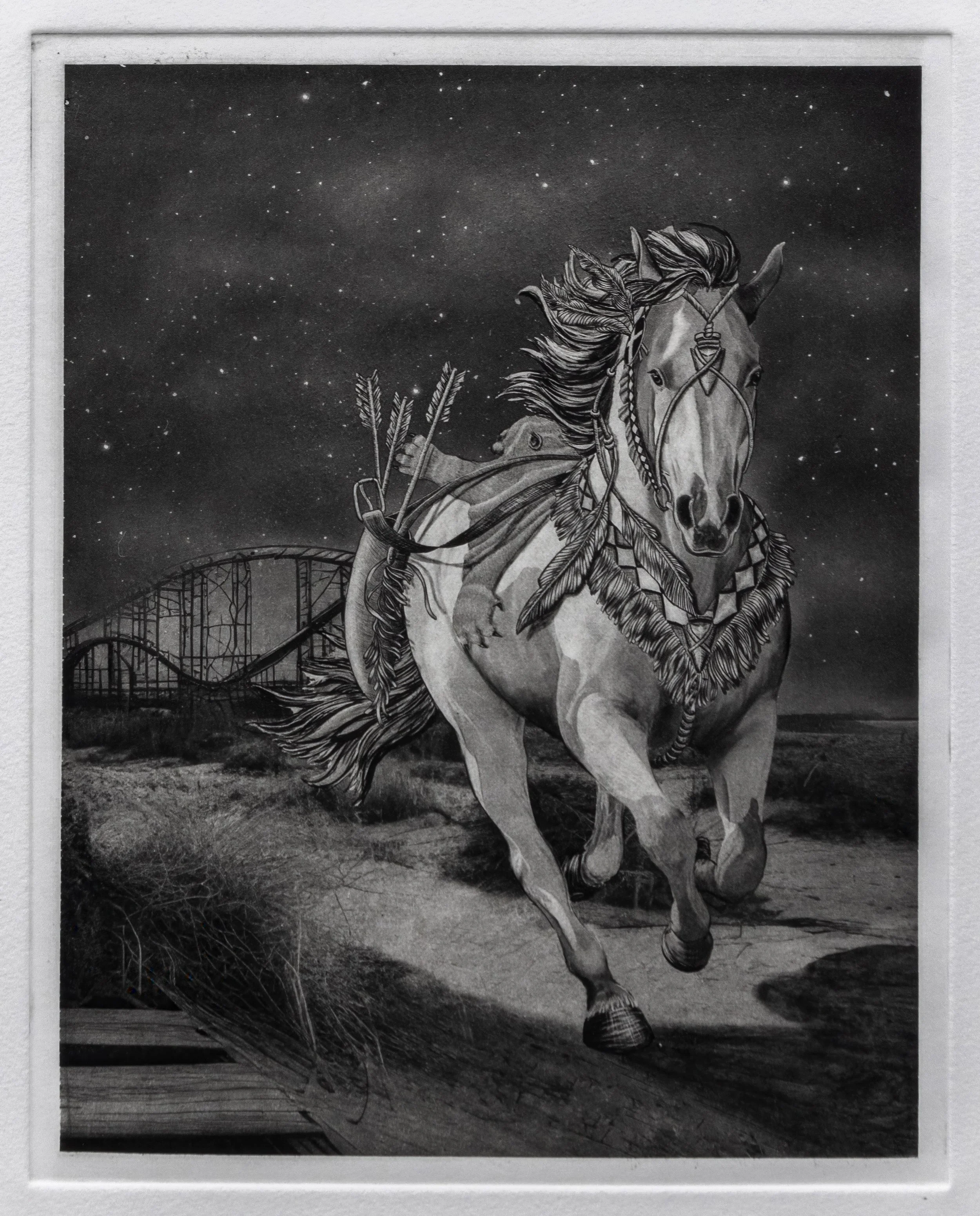 "Dakota" Copper plate photogravure created from digital drawing by artist Susan James. Edition of 30 pieces plus three artist proofs. Click the image for more information.