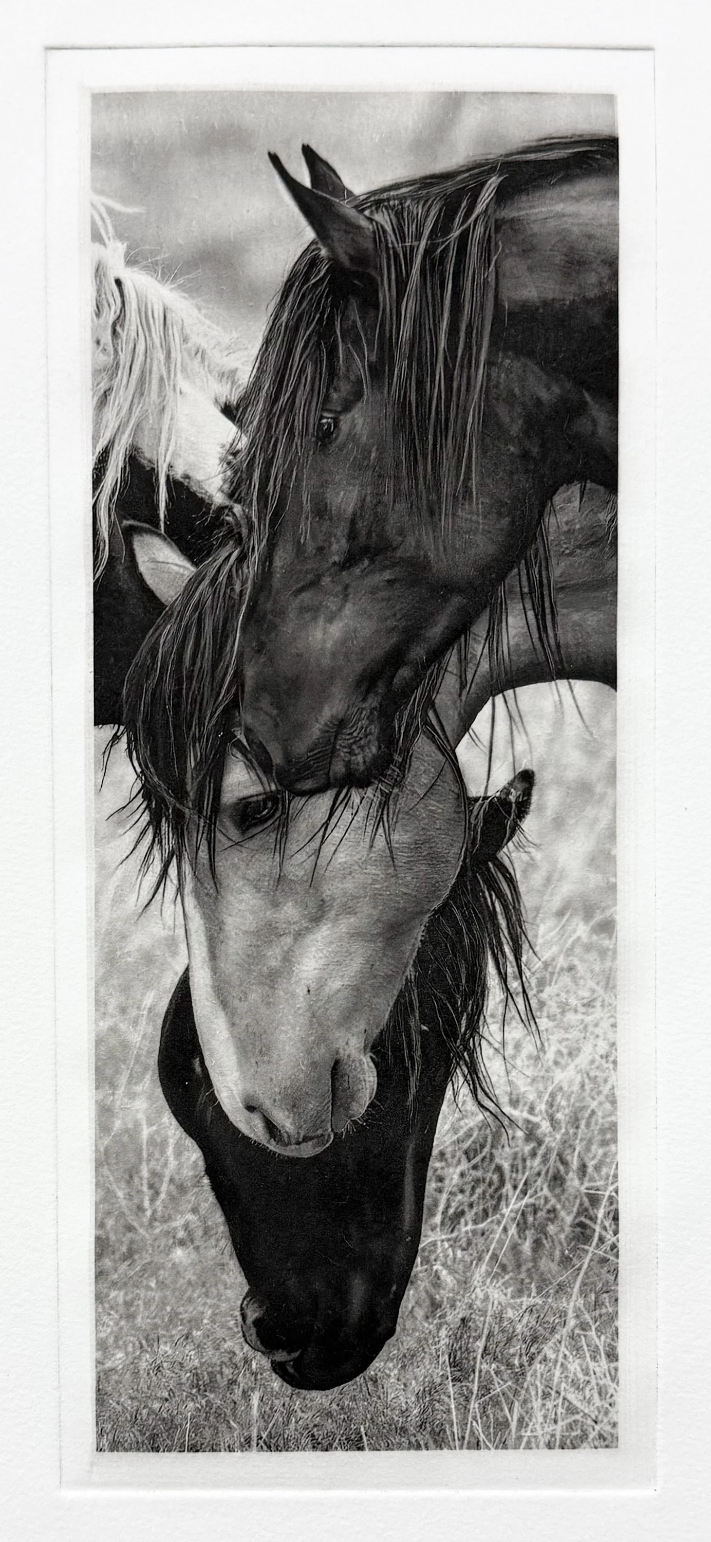 "Spirit Council" - Polymer photogravure created by Susan James. Edition of 30 pieces plus three artist proofs. Click the image for more information.