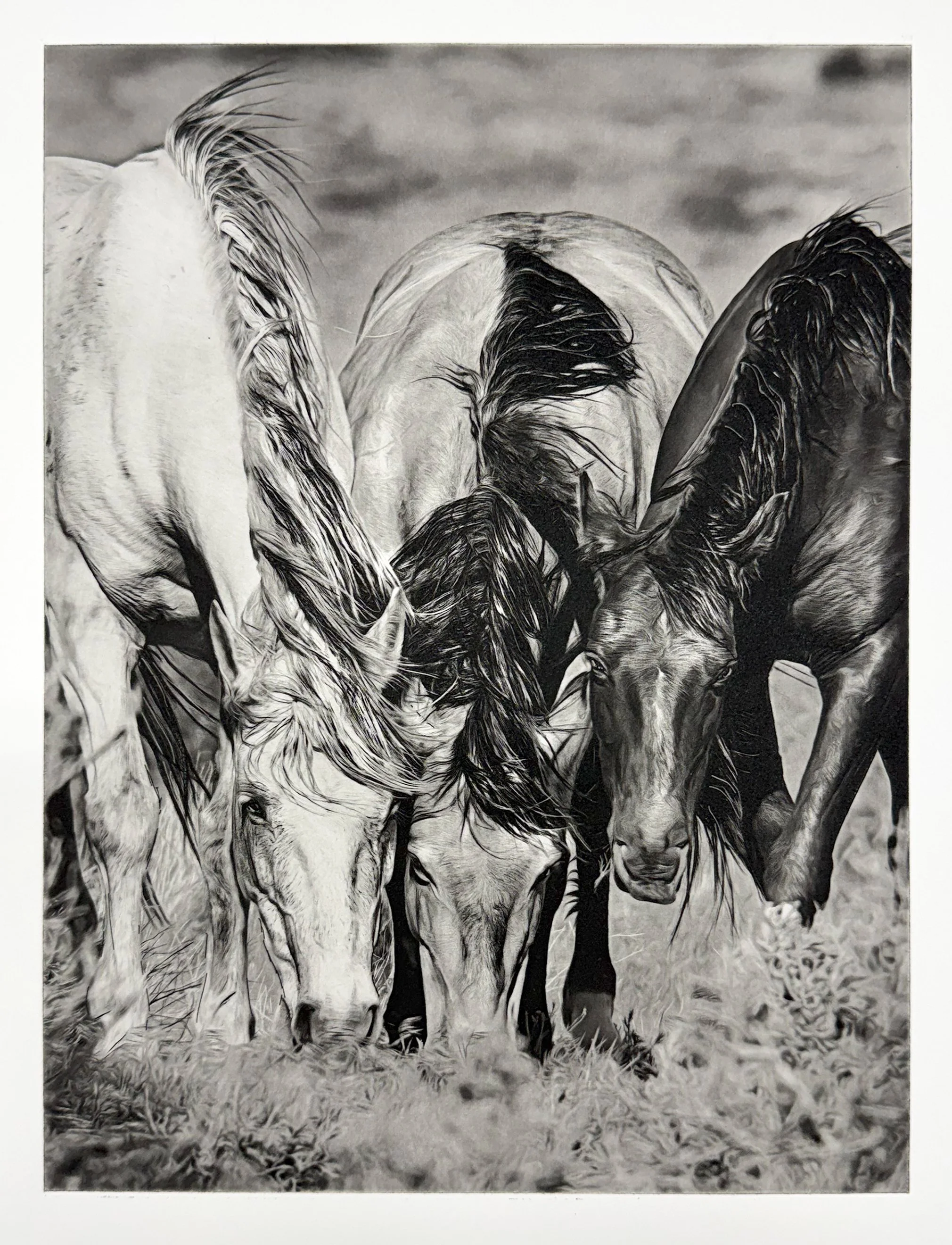 In Good Company - Polymer Photogravure created by Susan James.  Edition of 30 pieces plus three artist proofs.  Click the image for more information.