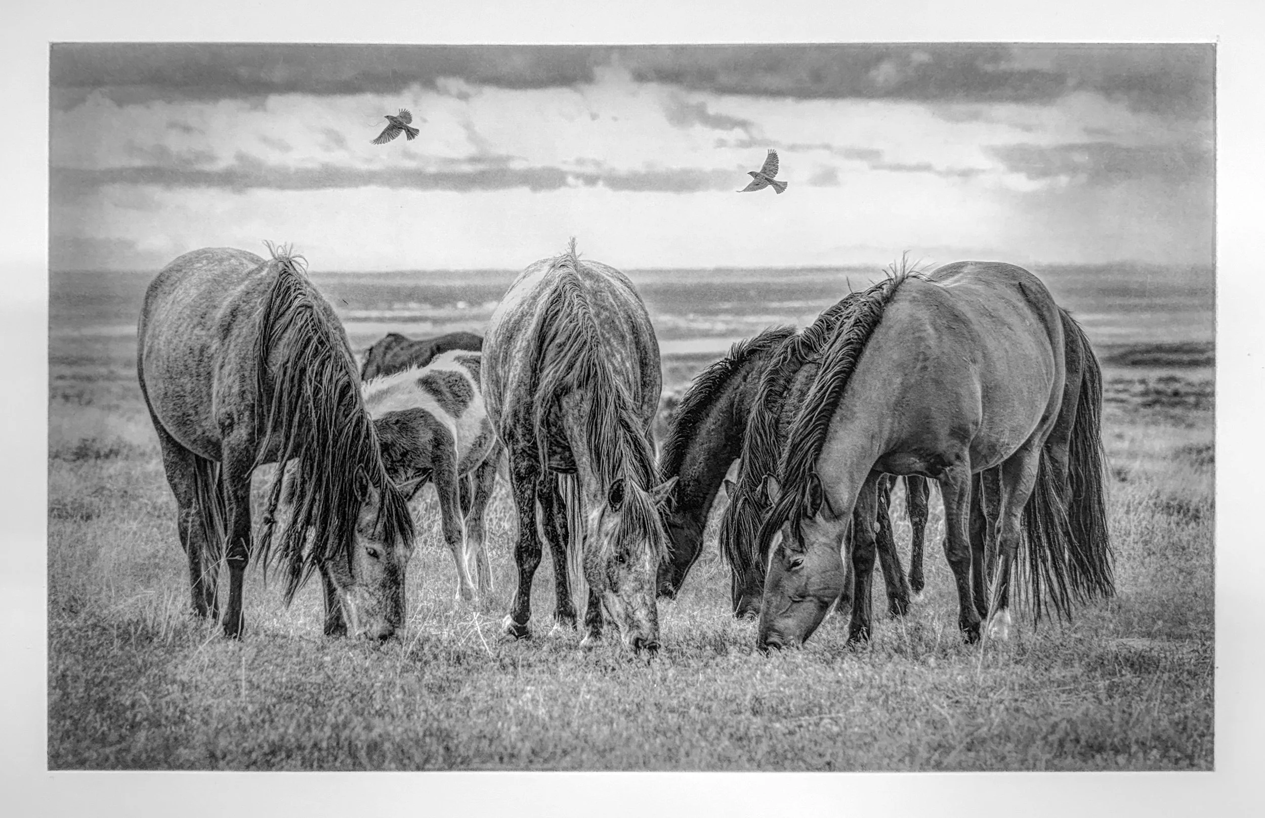 Flyover Country - Polymer Photogravure created by Susan James.  Edition of 30 pieces plus three artist proofs.  Click the image for more information.