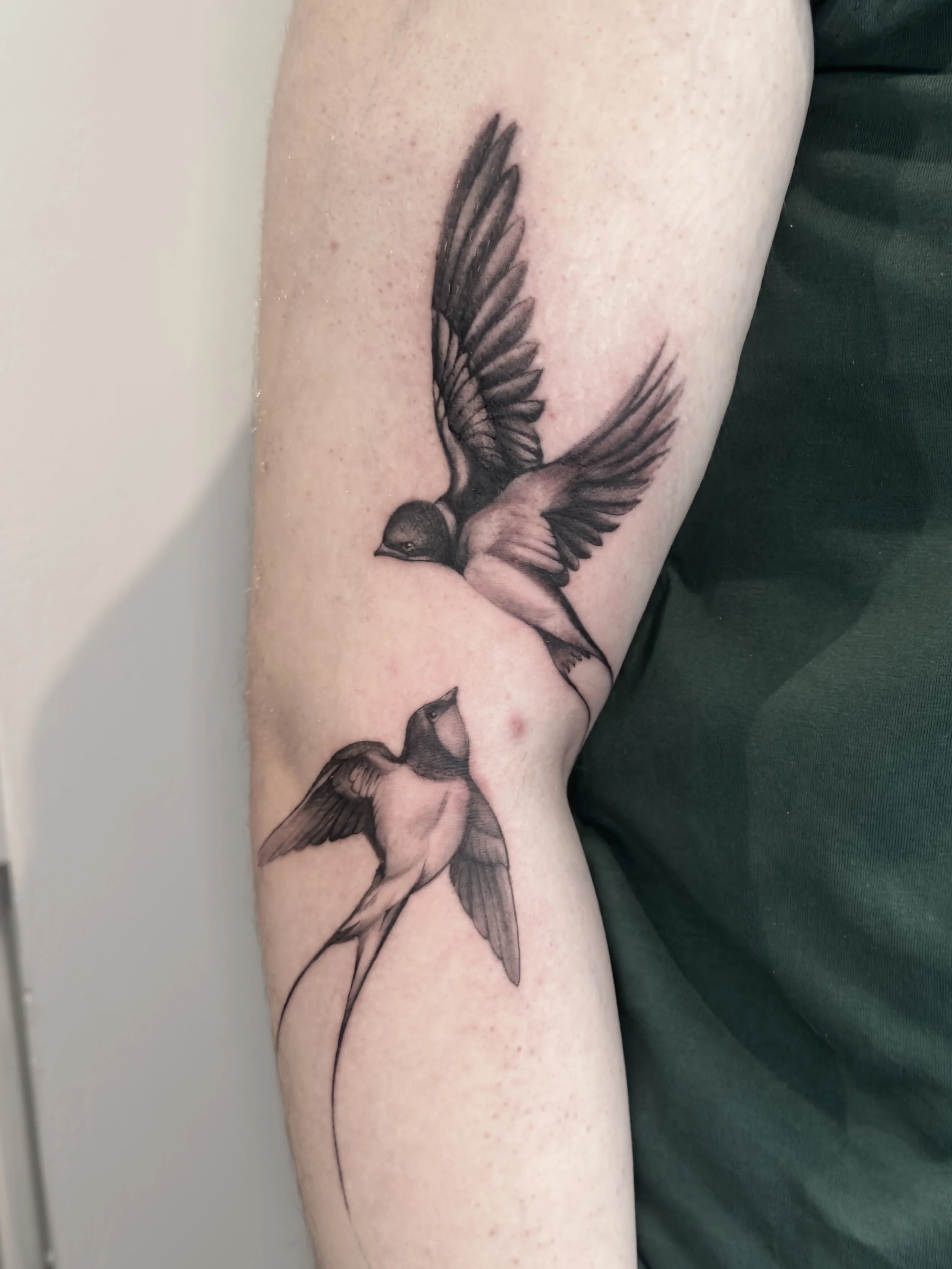 Black and grey fineline micro-realistic swallow birds tattoo, by Vicky Devlin, Devlin Ink Tattoos Colchester