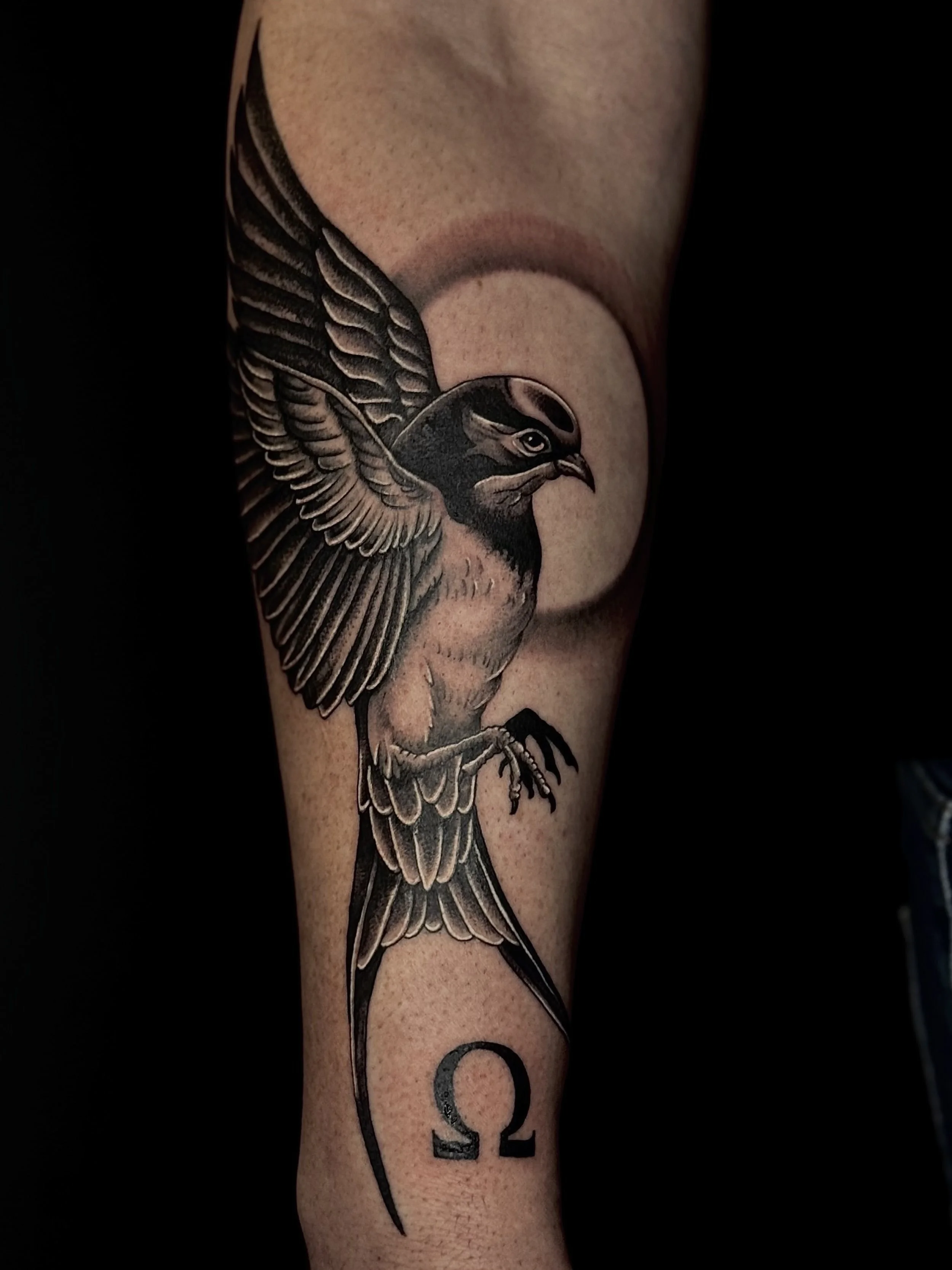 Bird traditional black and grey tattoo Devlin ink tattoos Colchester Essex google reviews