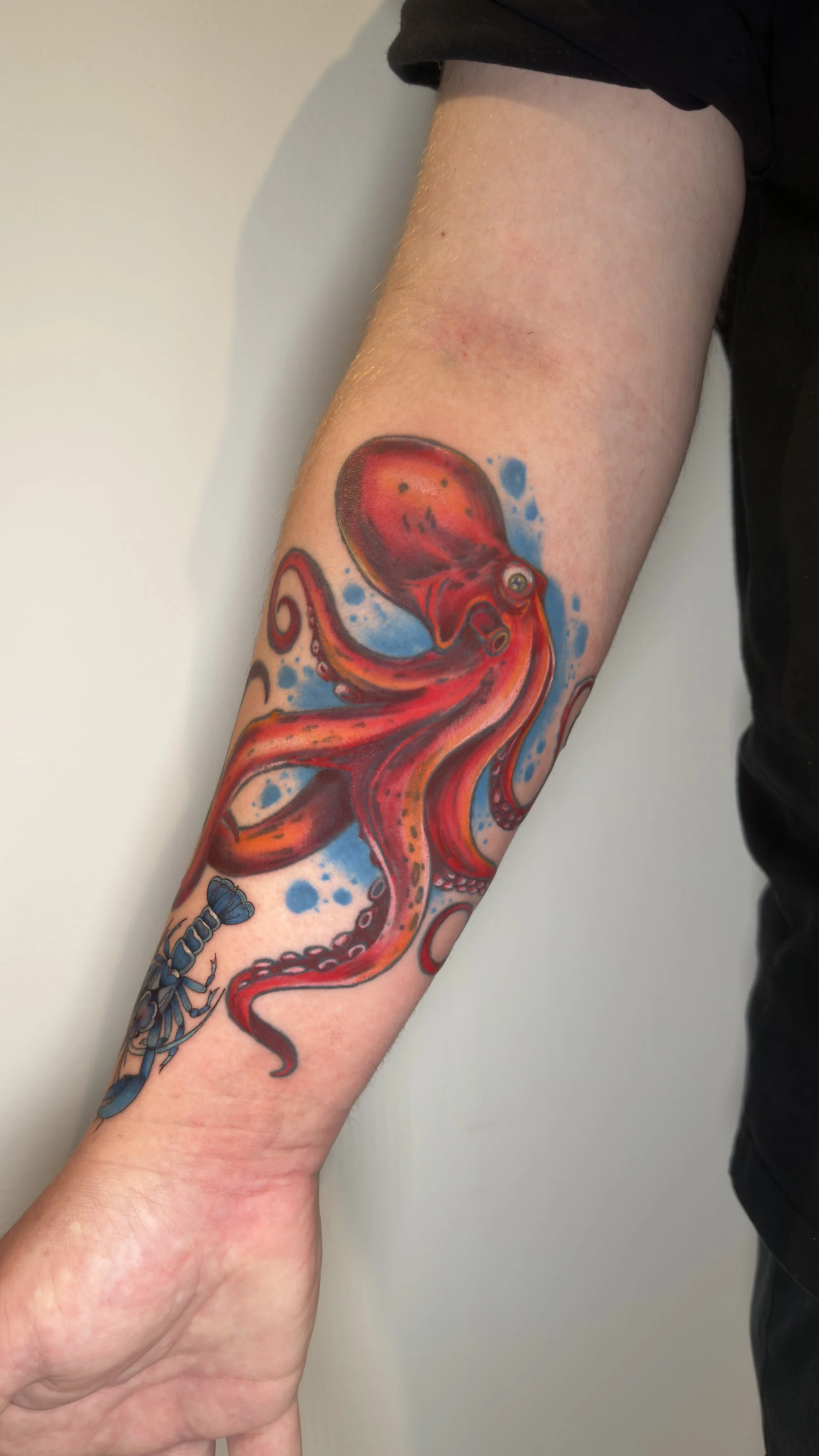Colour realism octopus in red and blue tattoo, by Vicky Devlin, Devlin Ink Tattoos Colchester