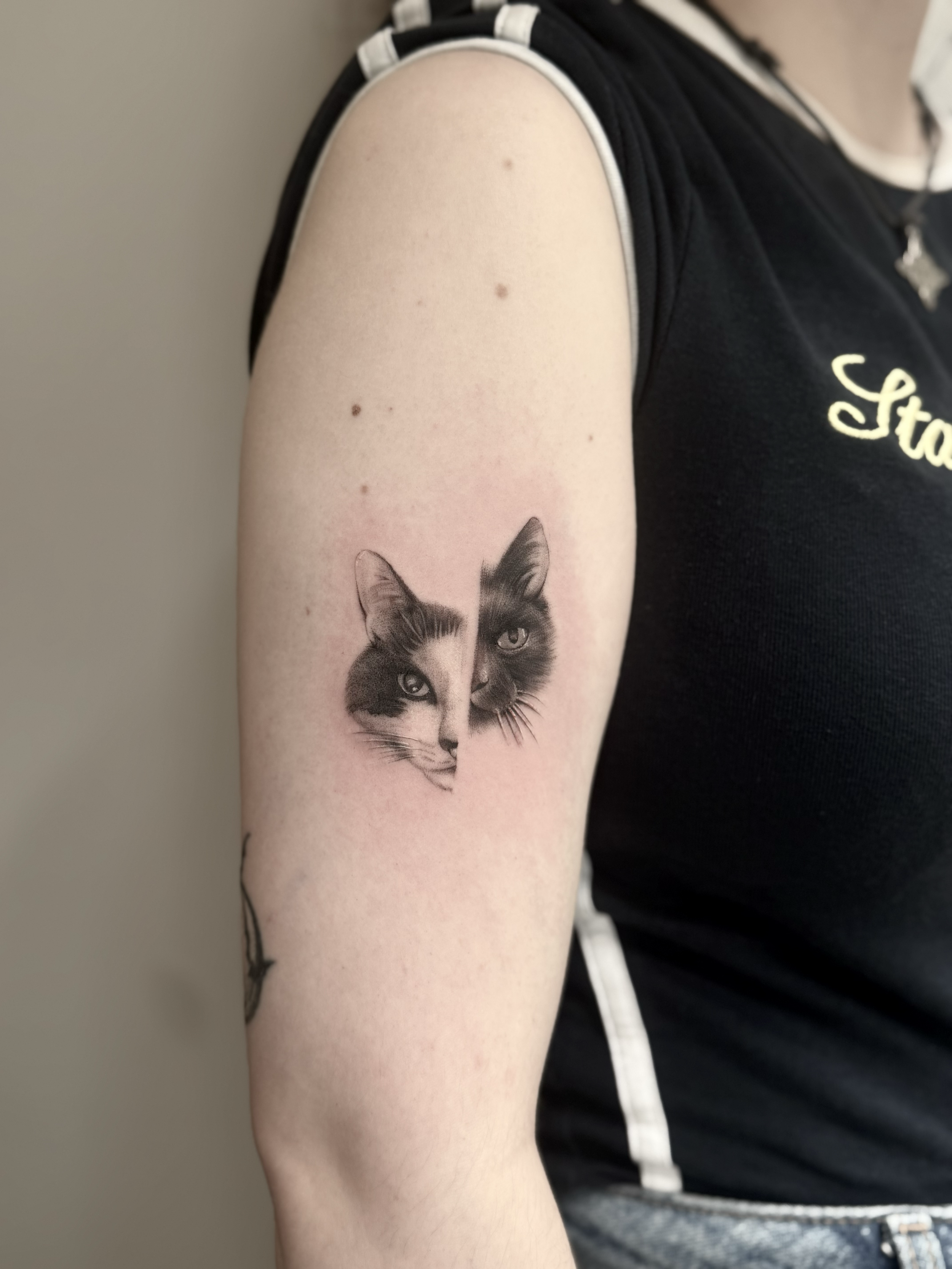 Black and grey fineline micro-realistic cat portrait tattoo, by Vicky Devlin, Devlin Ink Tattoos Colchester