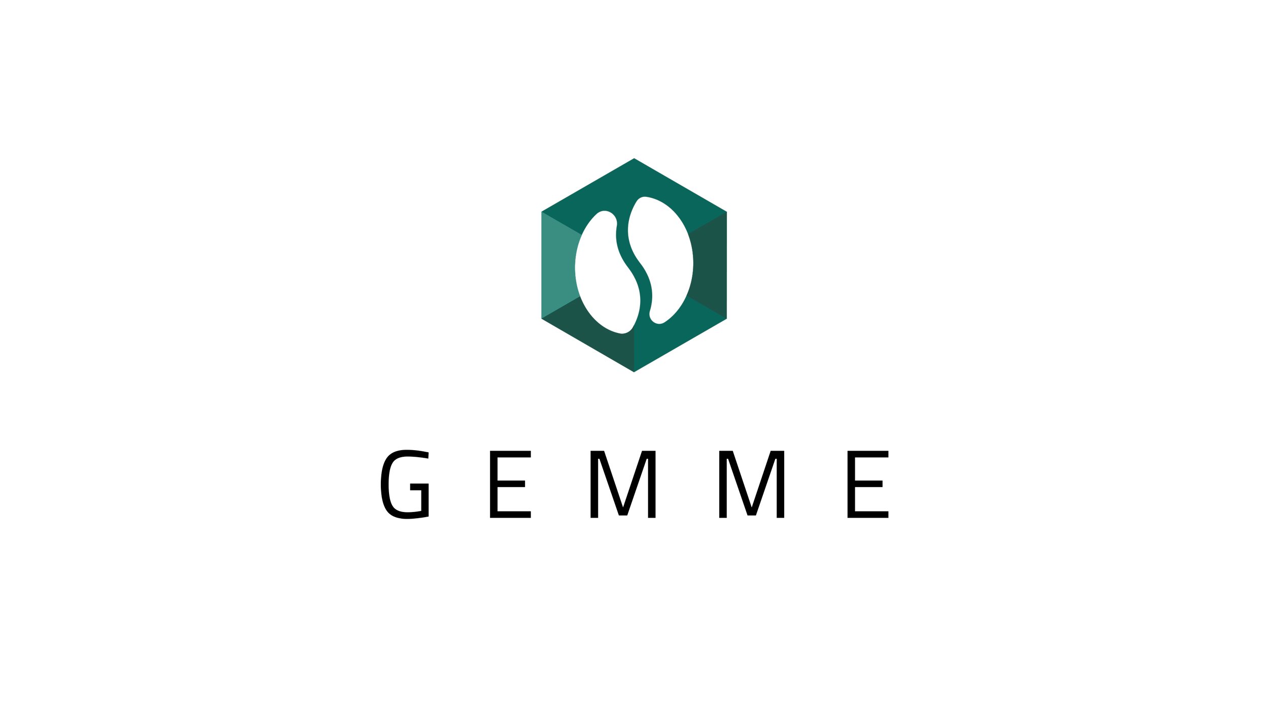 GEM 2 site.jpg