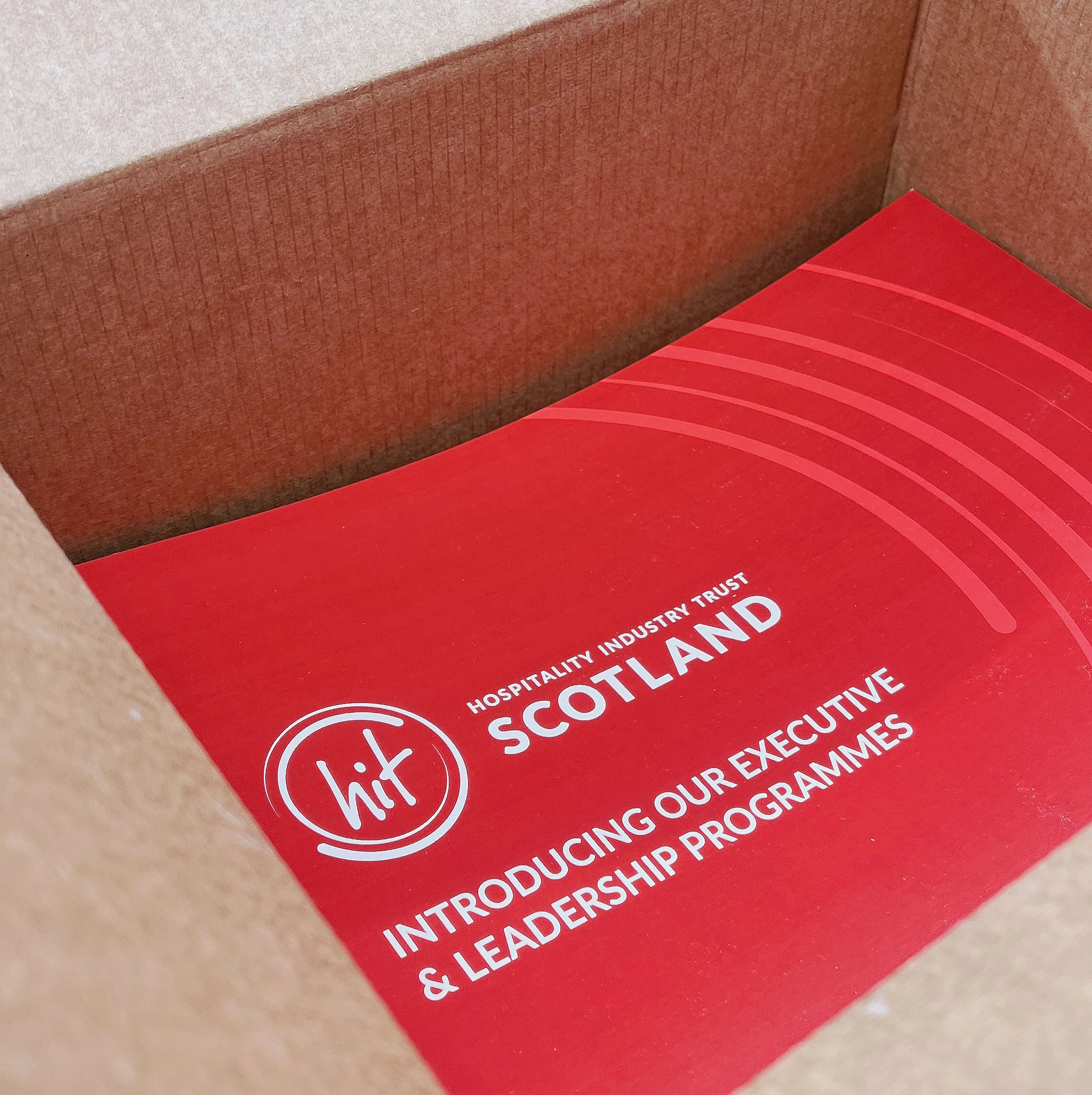  Programmes  Hit Scotland