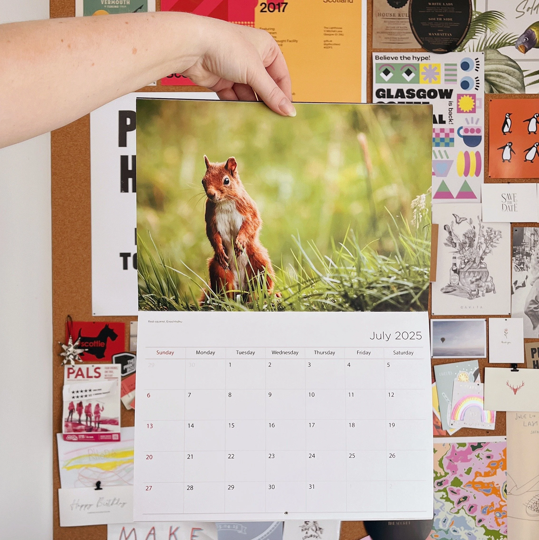  Calendars 
