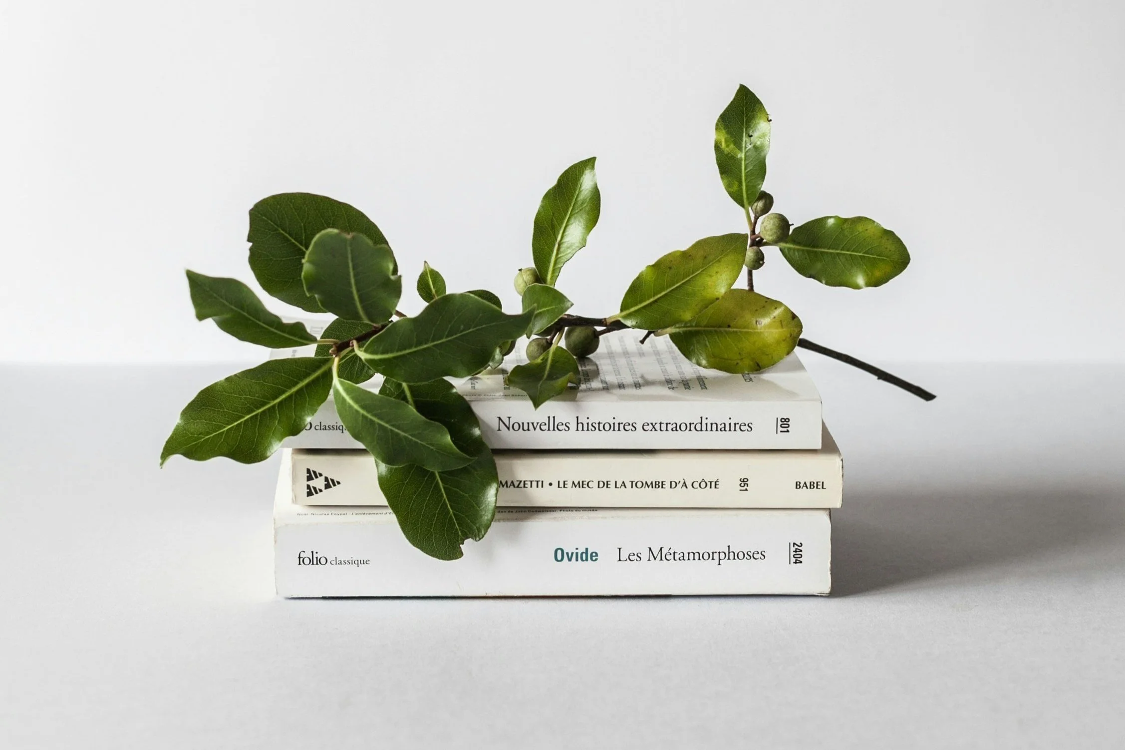 Three books stacked with green leaves and small buds resting on top.