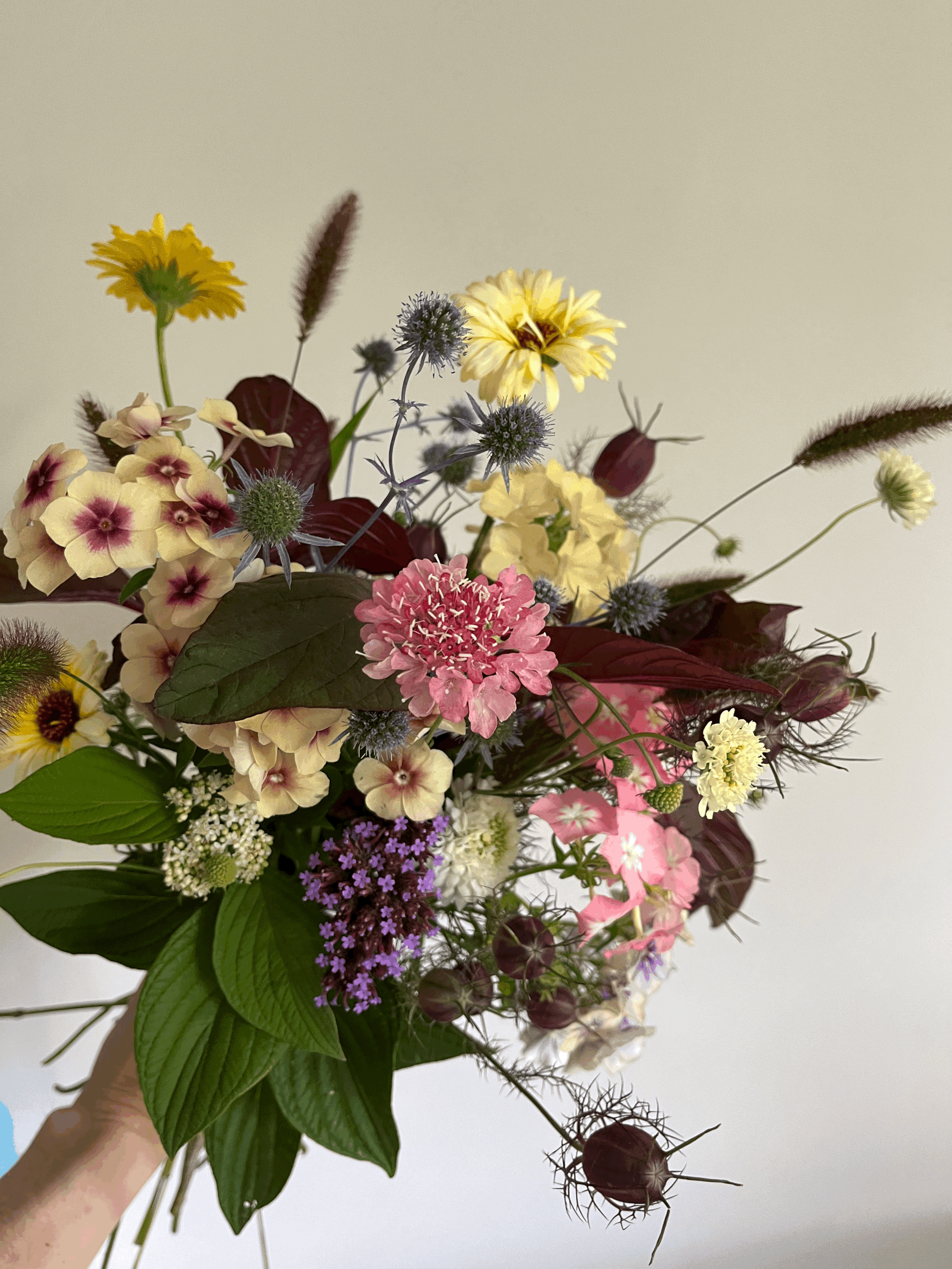 Seasonal Gift Bouquet Delivery Included - Returning Next Spring