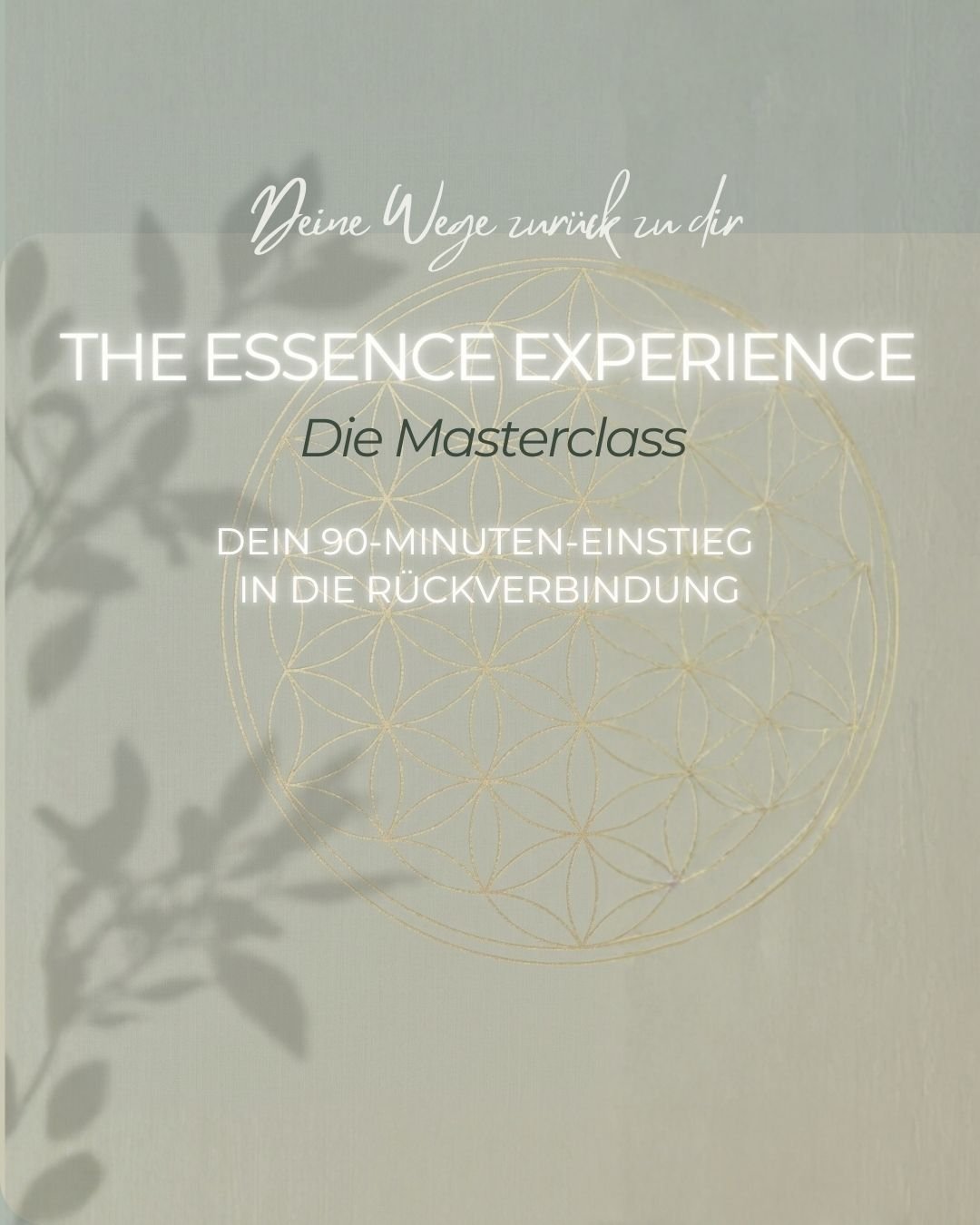 Masterclass The Essence Experience
