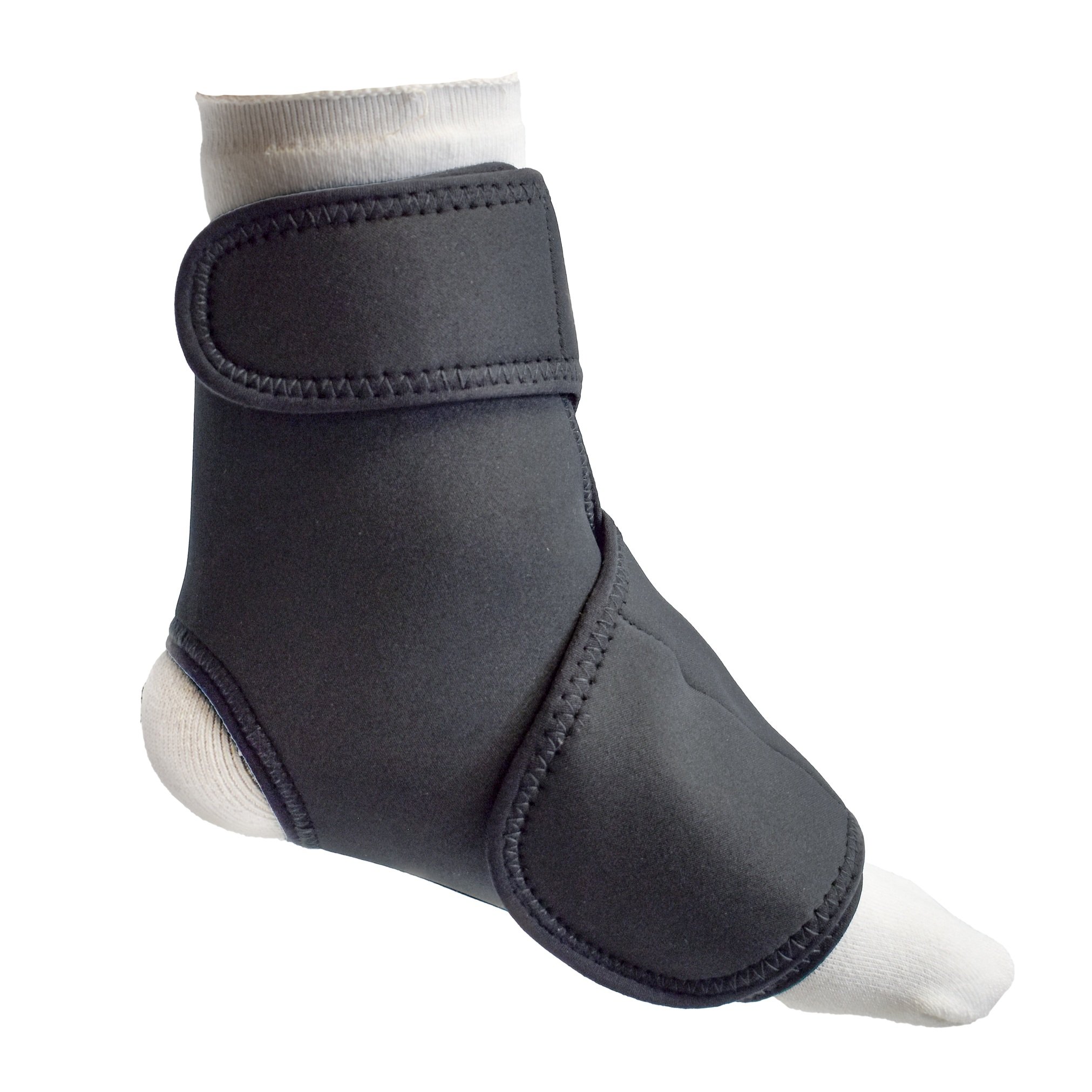 polar_bear_ankle_edit-1_02-18-2025.jpg
