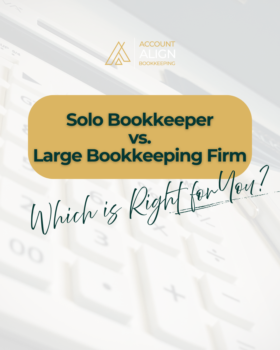 Solo Bookkeeper vs. Large Bookkeeping Firm: Which Is Right for Your Business?
