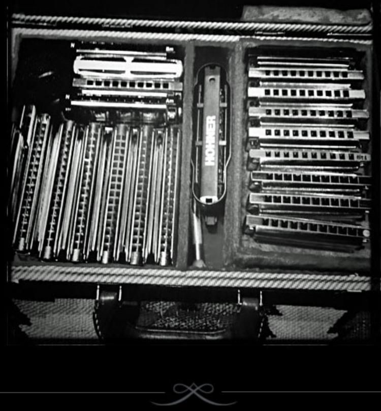 Mickey Raphael Wireless Rig Mickey Raphael