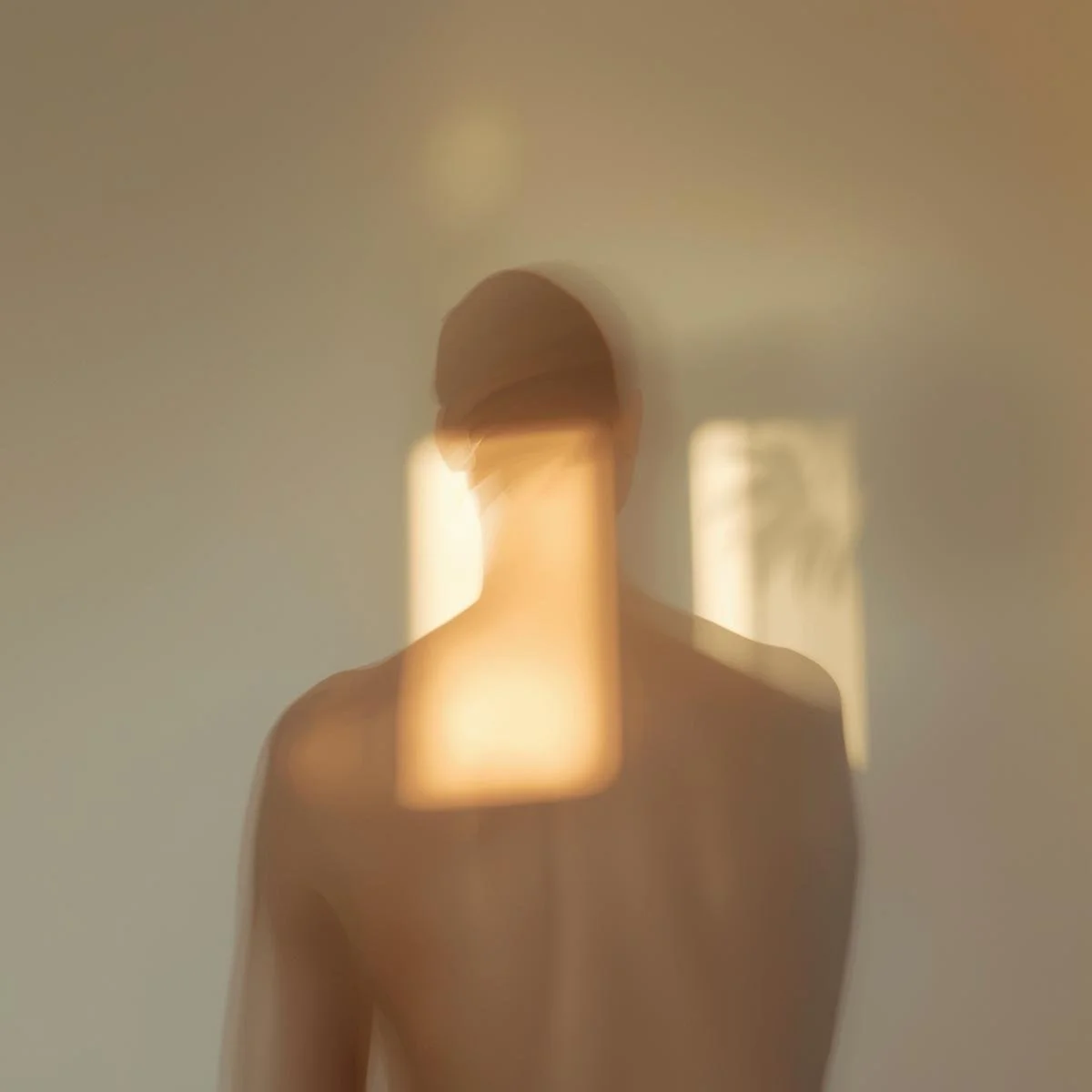 la fidelidad es de los girasoles