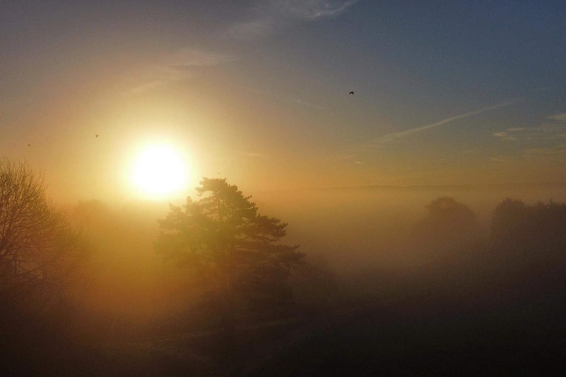 Reconnection and Clarity Retreat Day