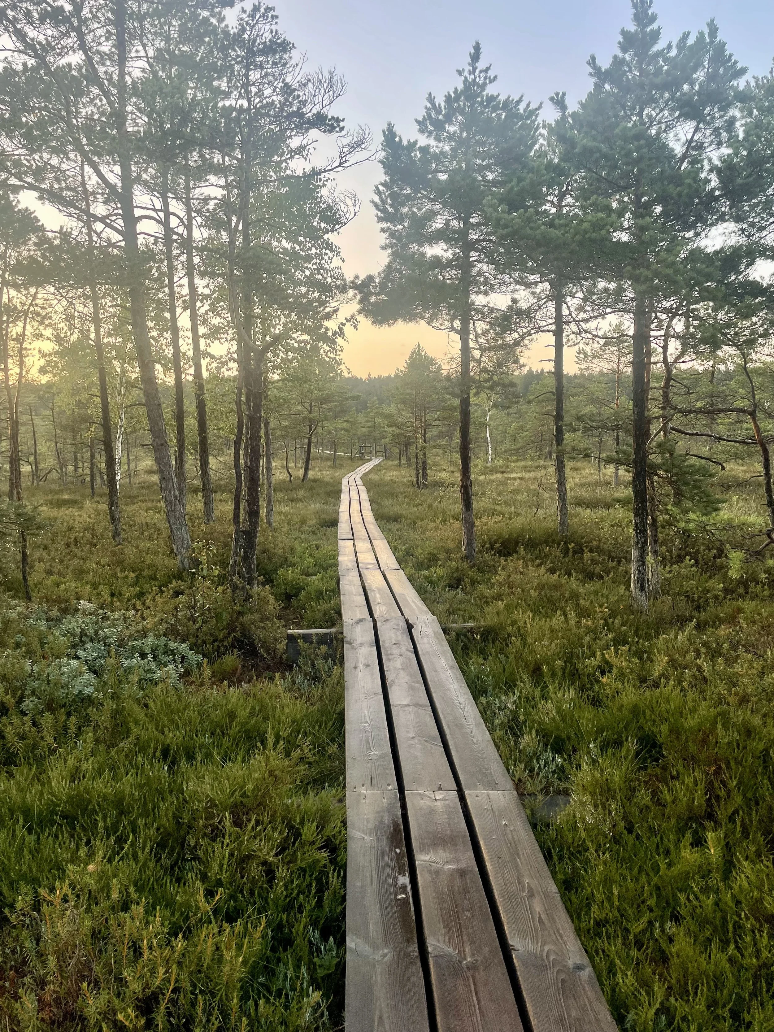 Transformational Coaching Community.  Healthcare Advocacy From In the Dark to an In the Know Illness Journey When: Mondays — March 16, 30, April 13, 27 Times: 12:00 pm &amp; 8:00 pm EST