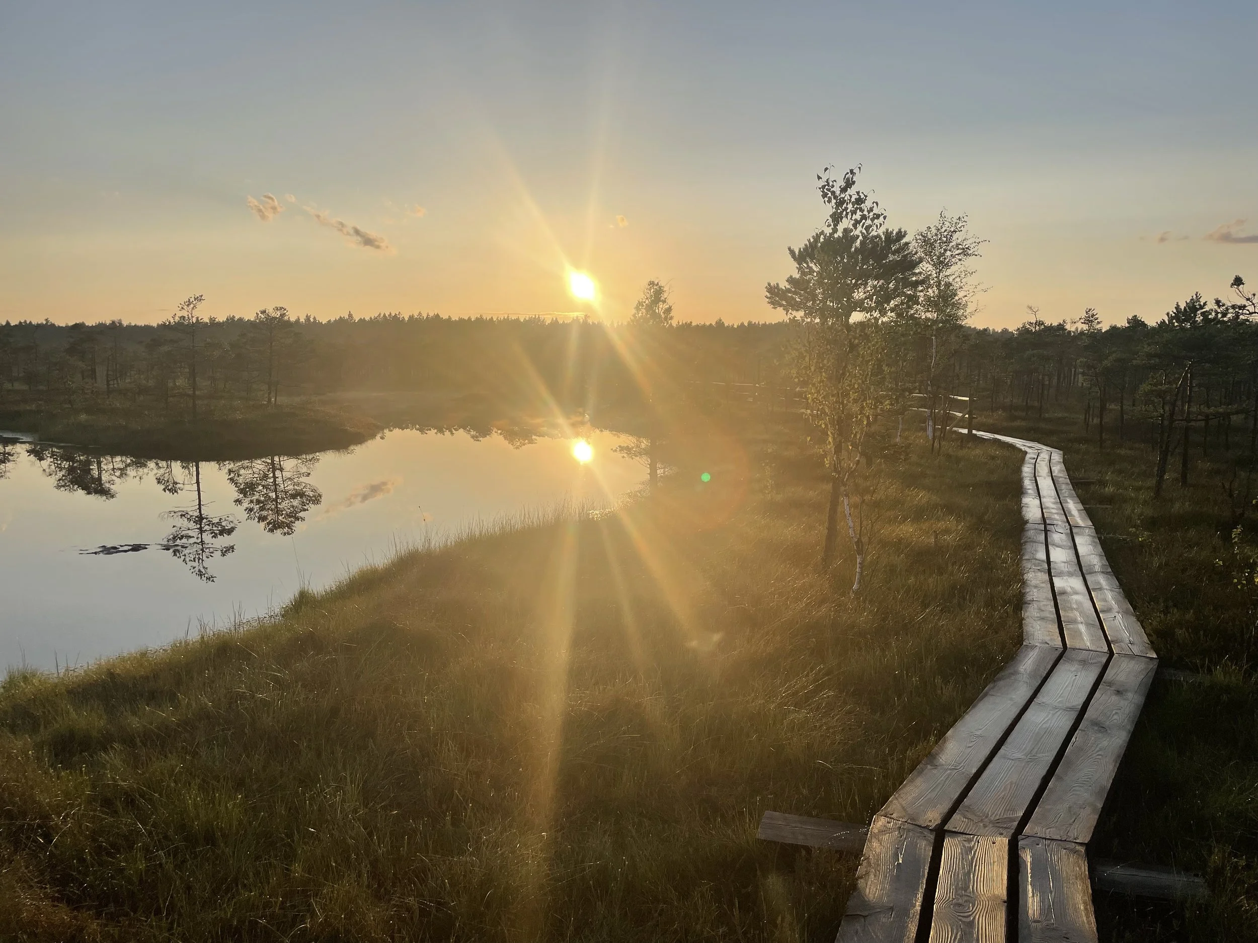 Sunset over a calm lake with reflections of trees, a winding wooden boardwalk on grassy terrain, in a natural landscape.