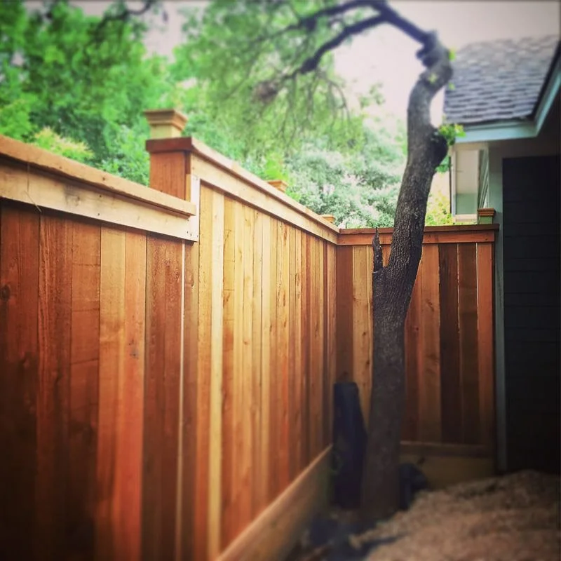 backyard-fencing-upgrade.jpg