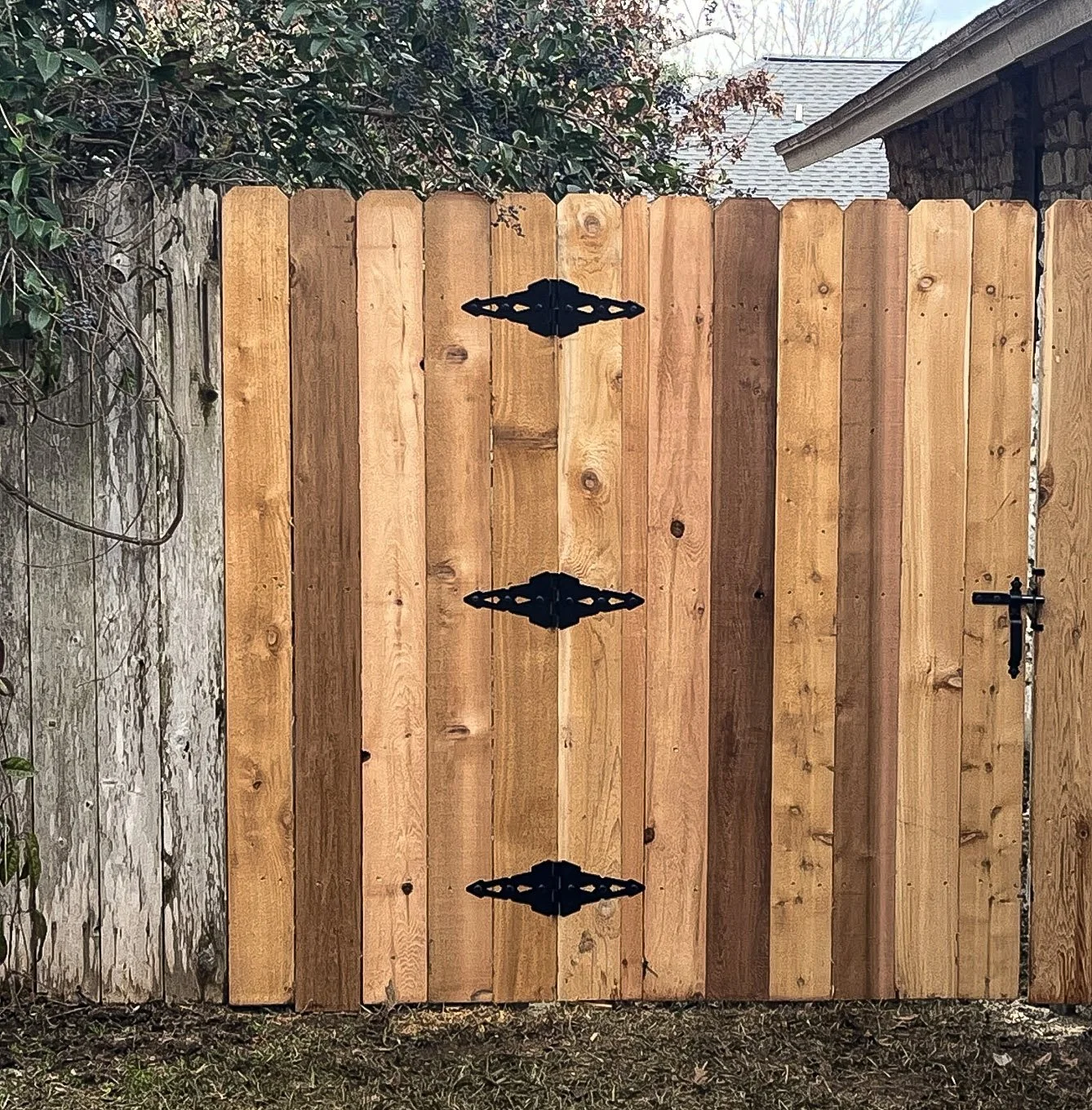 backyard-fencing-gate.jpg