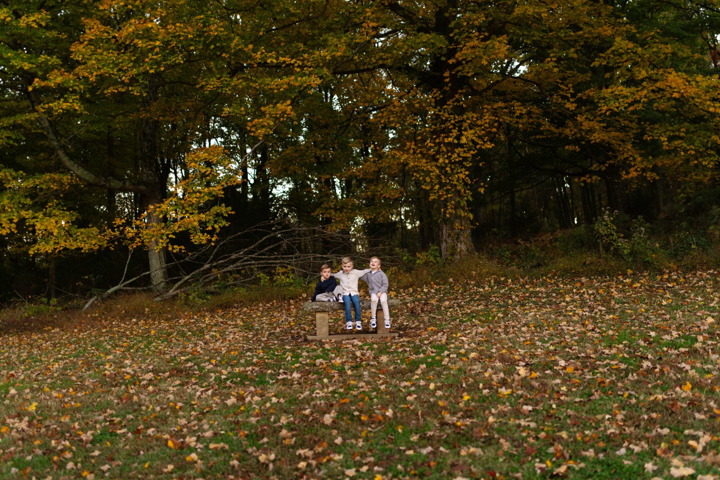 Three children sitting on a park bench in an autumn landscape with fallen leaves and trees with orange and yellow leaves in the background.