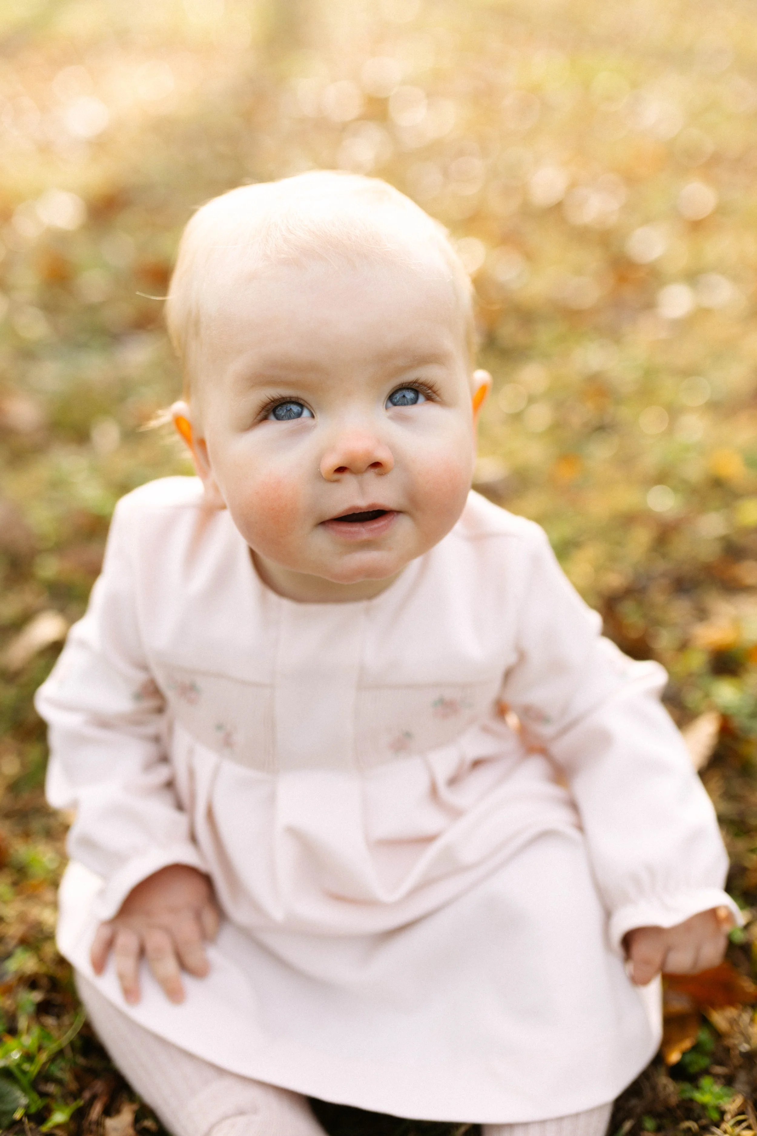 A baby girl with blue eyes and light blonde hair, sitting outdoors on autumn leaves, wearing a light pink dress with floral embroidery.