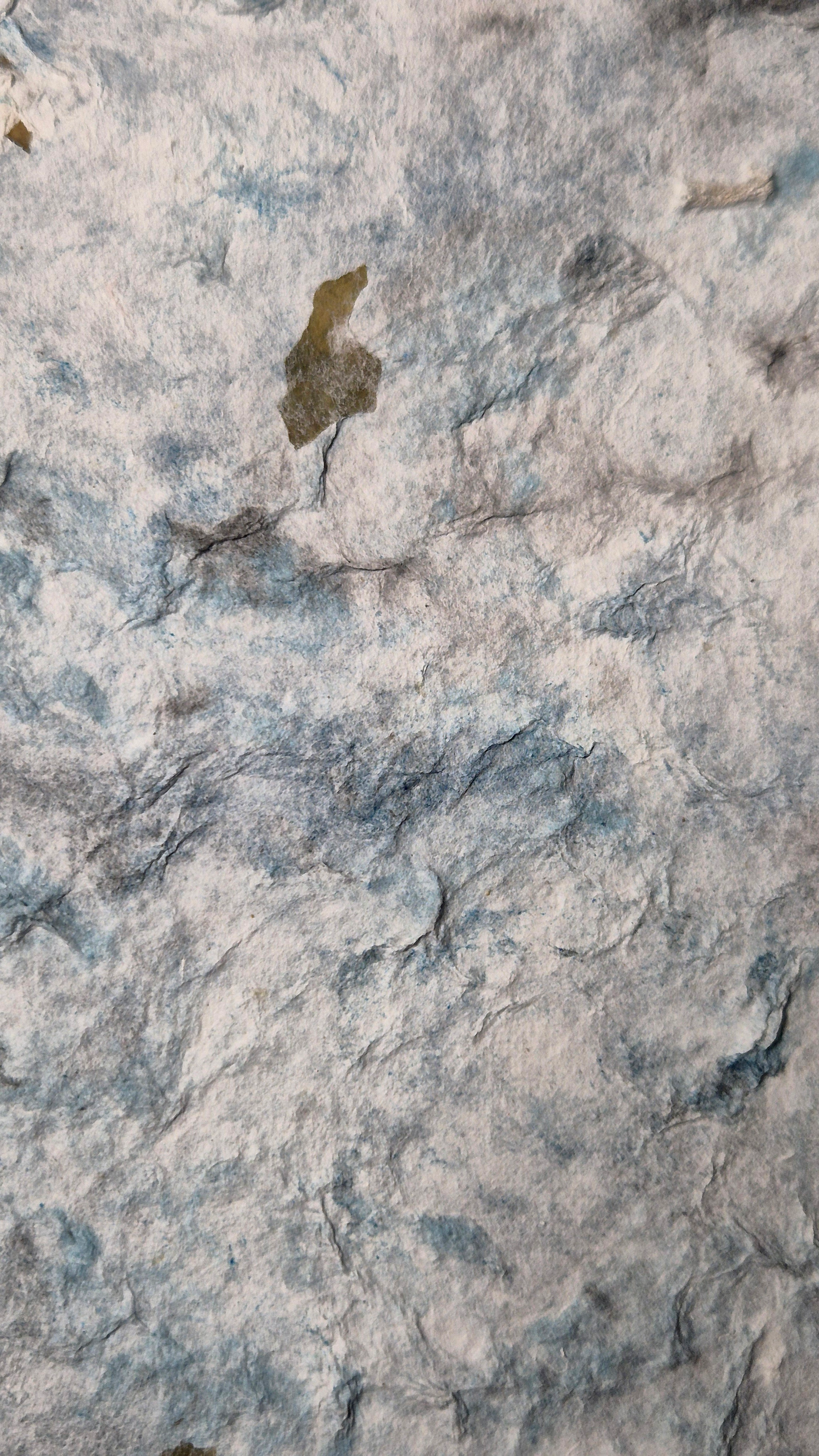 "Lost at Sea", hand colored pulp, seaweed.