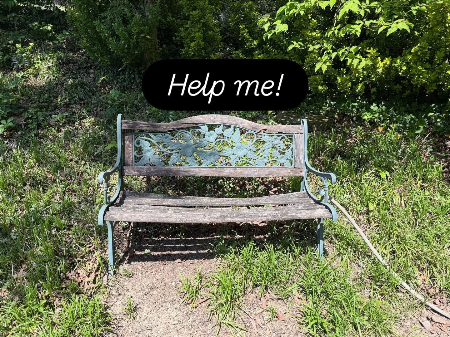Back from vacation with a new project. This time a restoration of a park bench. Stay tuned for the final result!! #henryhardwood #restoration