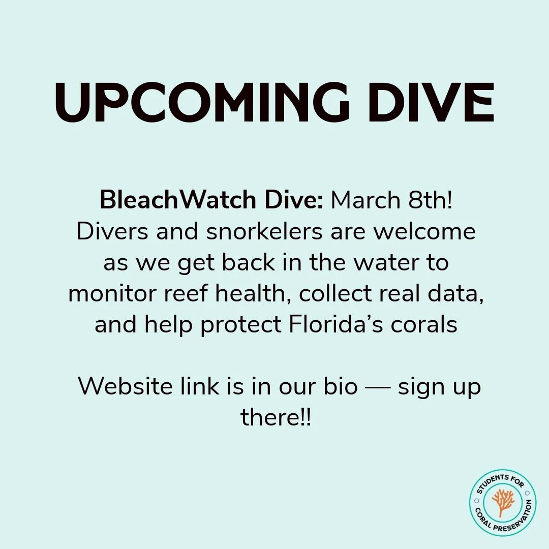 Divers and snorkelers are welcome as we head back into the water to monitor reef health, collect real data, and help protect Florida&rsquo;s corals 🪸

🔗 Website link is in our bio &mdash; sign up there!