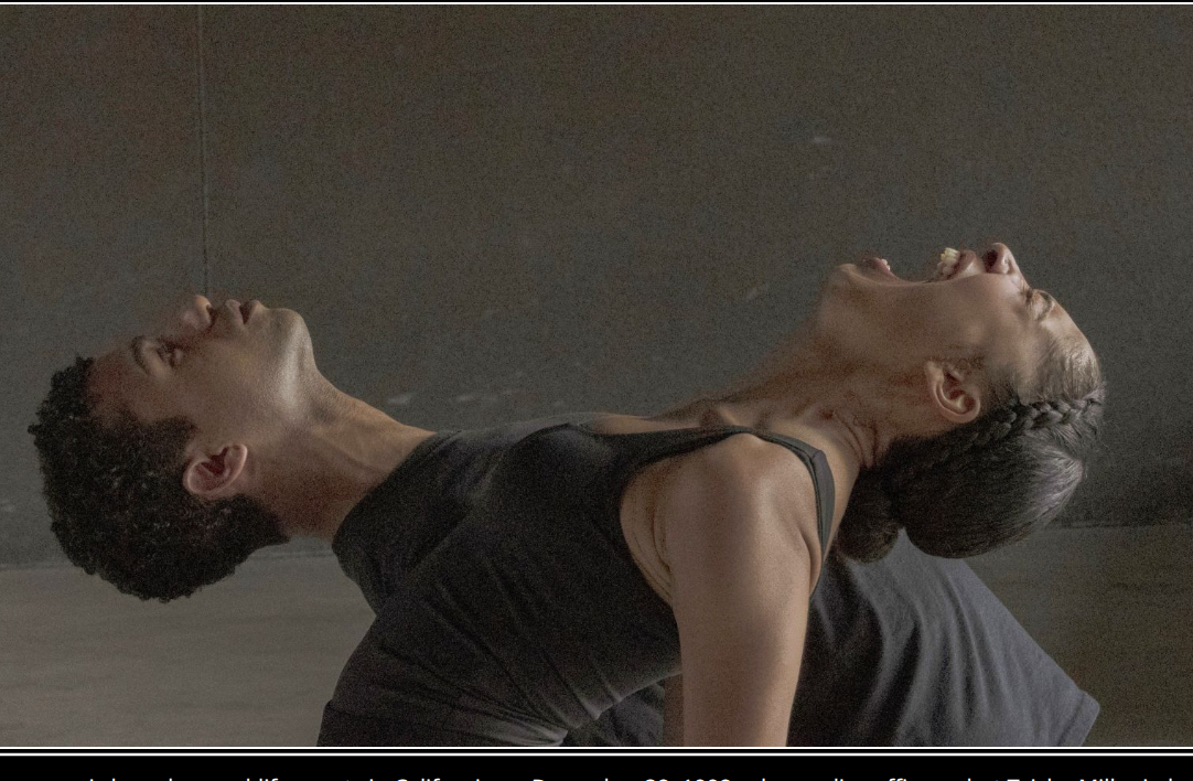 Dreamscape theatre Fringe
