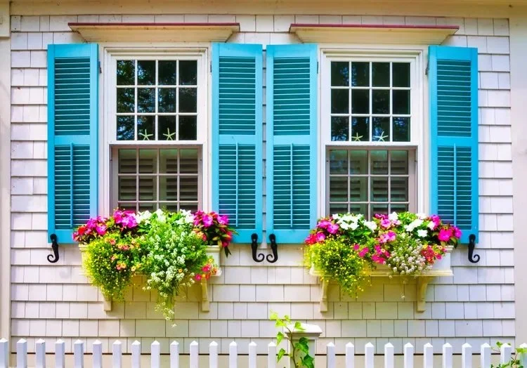 Are Window Shutters Still in Style? We Asked Designers What They Really Think