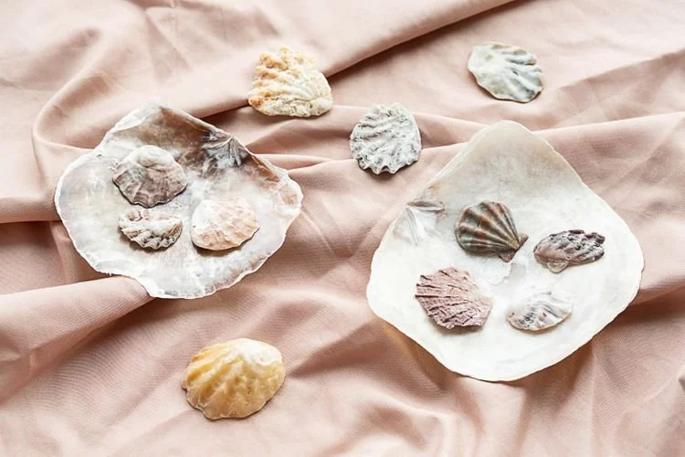 This French Coastal Decor Trend Is Showing Up Everywhere—And You Don’t Need a Beach House to Try It