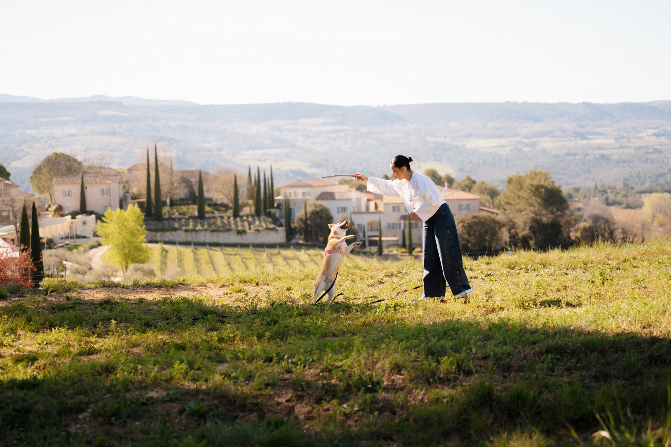 10 of the Most Sumptuous Stays for Pets Around the World