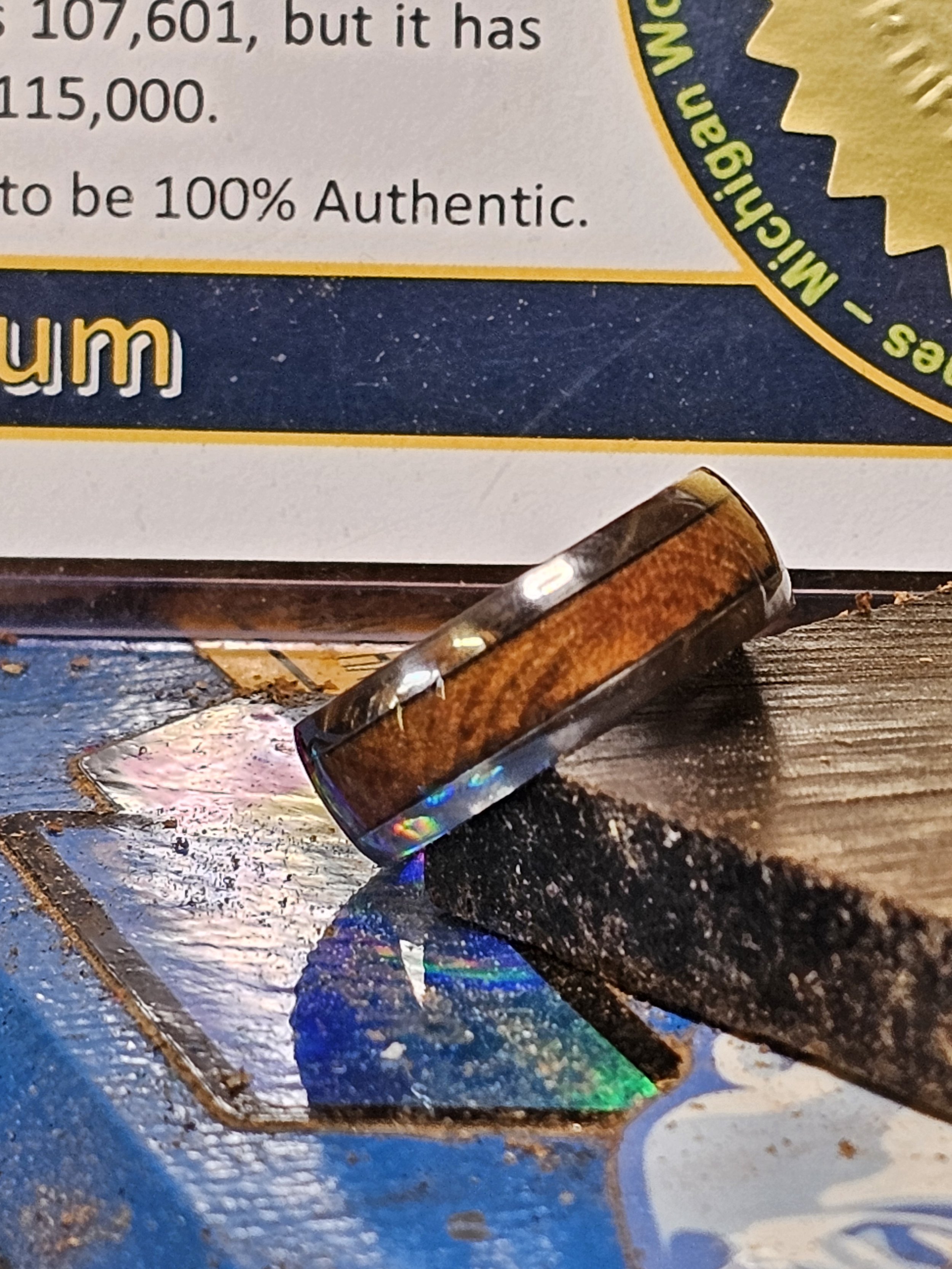 20240207_121227.jpg