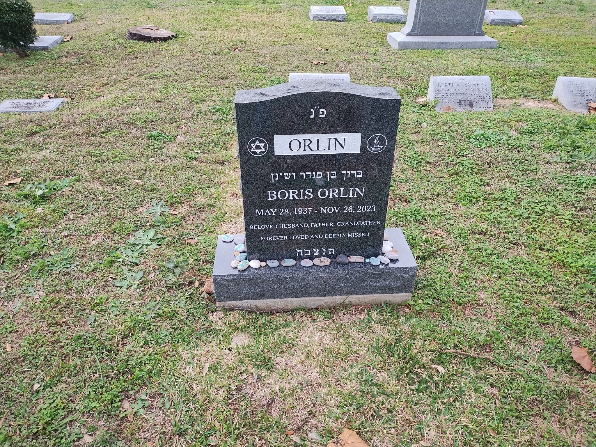 Gravestone for Boris Orlin with Hebrew and English inscriptions, surrounded by small painted rocks in a grassy cemetery.