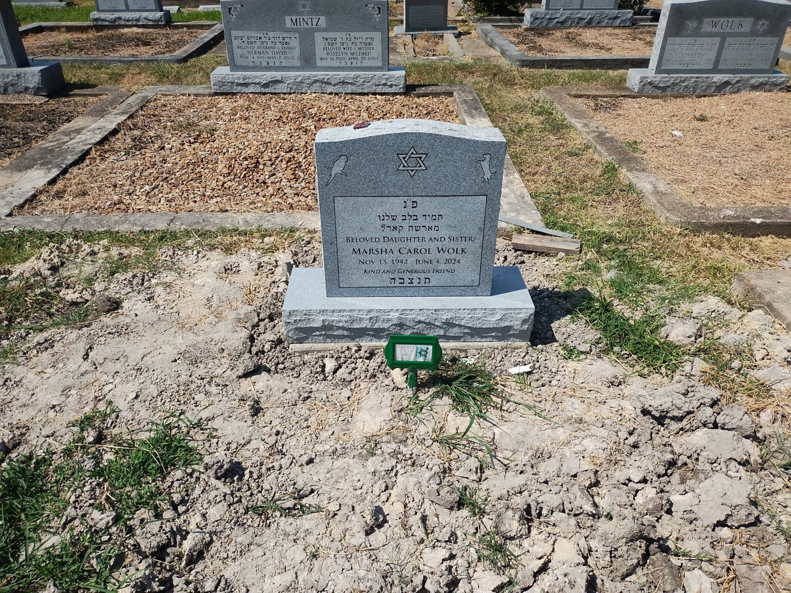 Gravestone with Star of David and Jewish symbols, in a cemetery with other gravestones nearby.