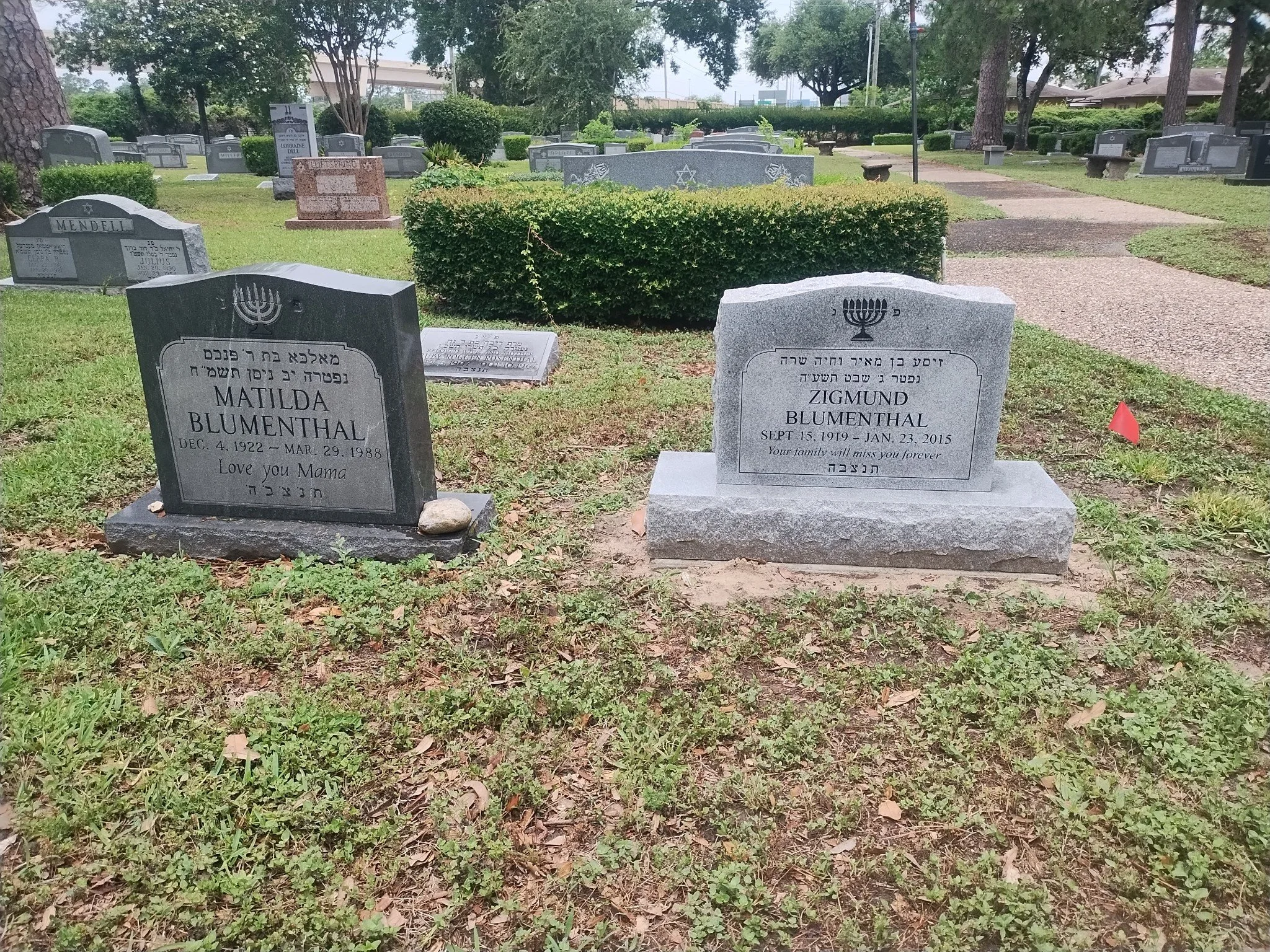 Cemetery with various gravestones and headstones, some with inscriptions and Jewish symbols, surrounded by grass, bushes, trees, and a pathway.