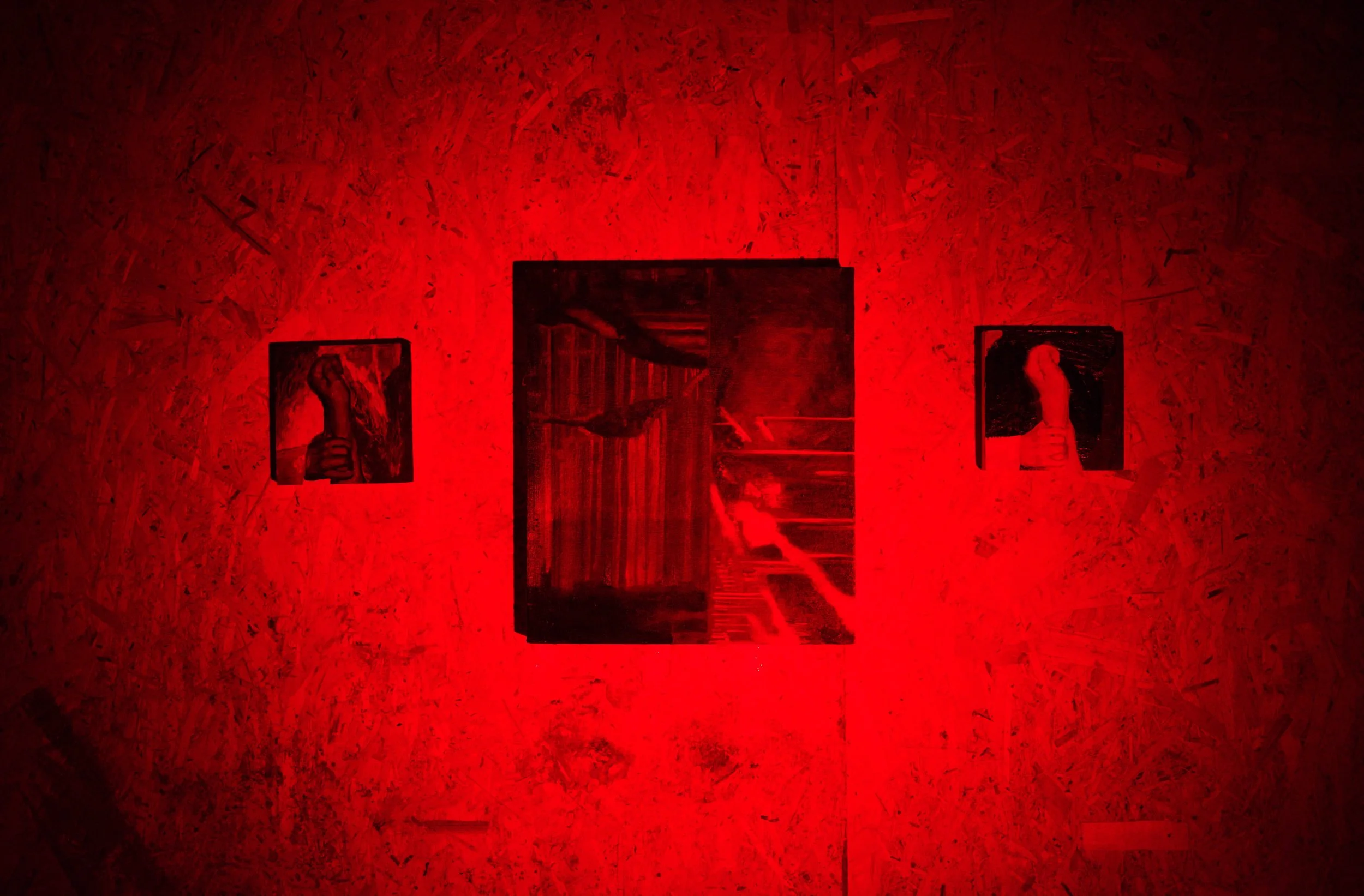 Leben heißt Leiden (2021) - Solo Exhibition at Downtex Gallery project space, Manchester UK.                                                                        Reece's solo exhibition investigated the interplay of corresponding light and how it c