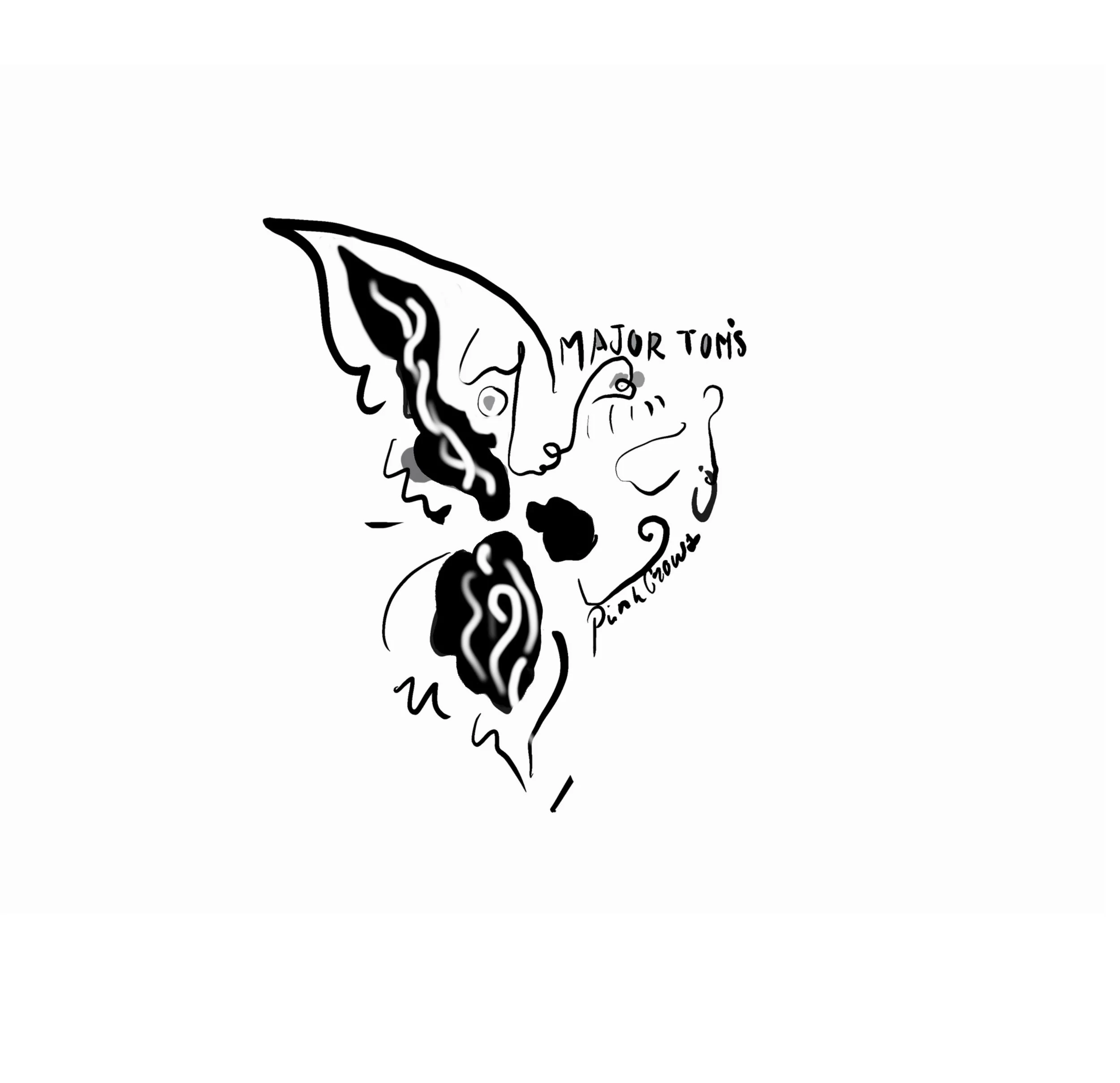 IMG_4820.jpeg