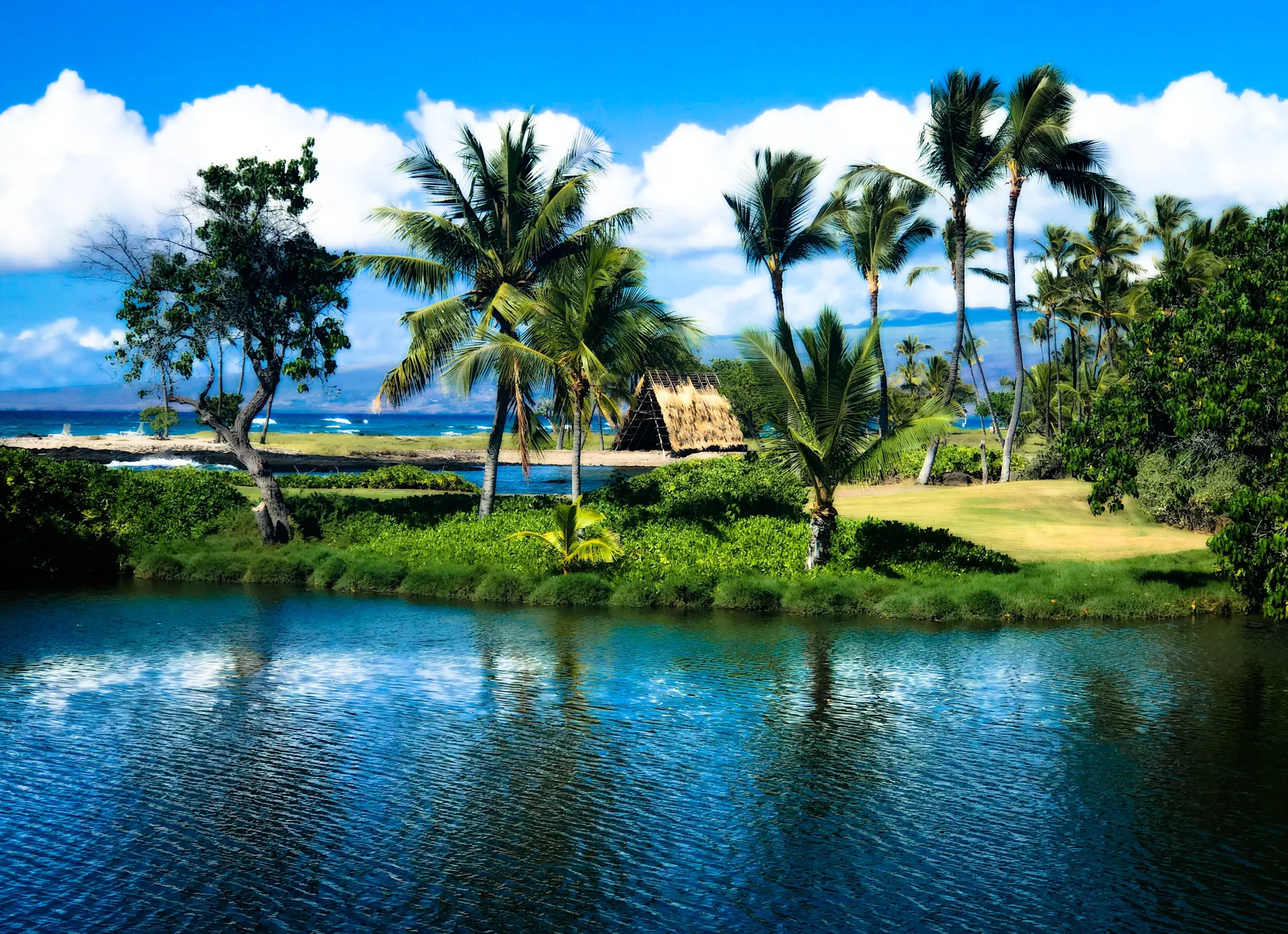Tropical landscape with palm trees, hut, and ocean view.