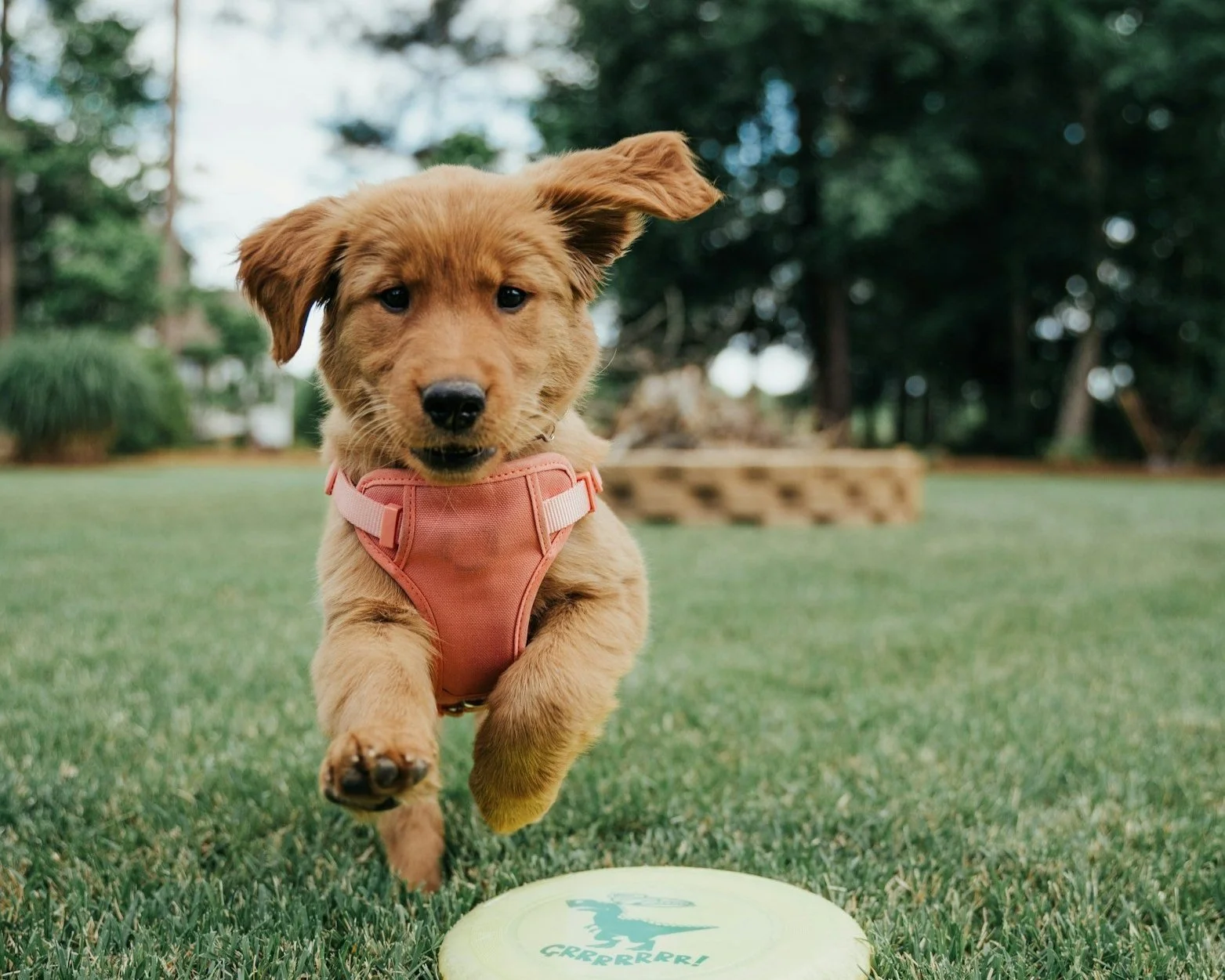 Why People with ADHD Use Humour to Avoid Discomfort