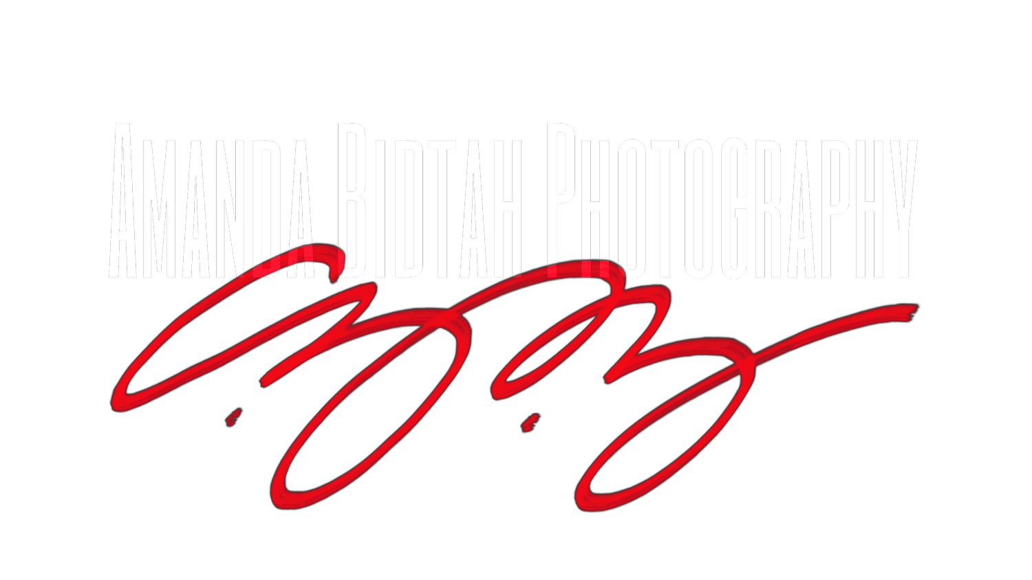 Amanda Bidtah Photography