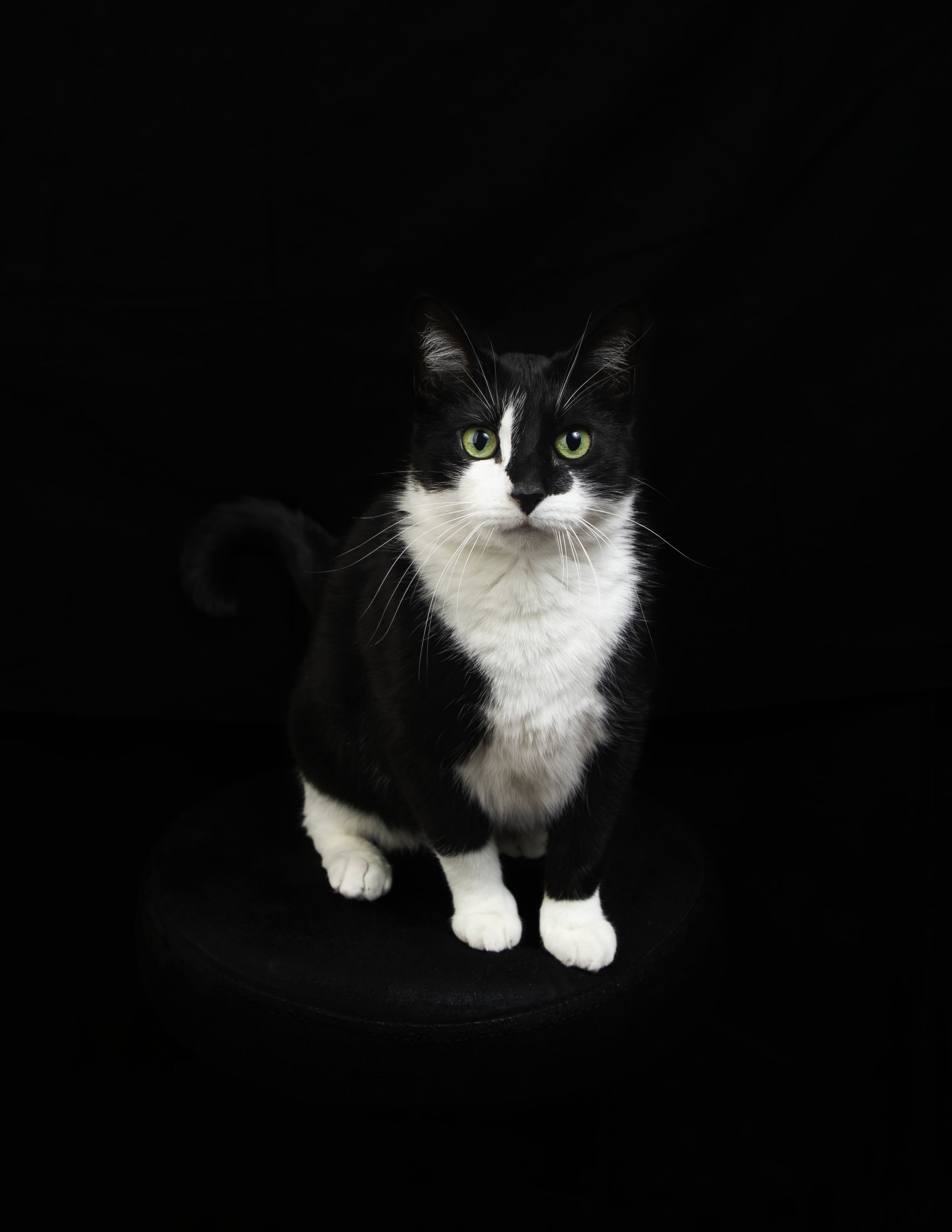 2025_04_08_Portfolio_Tom.jpg