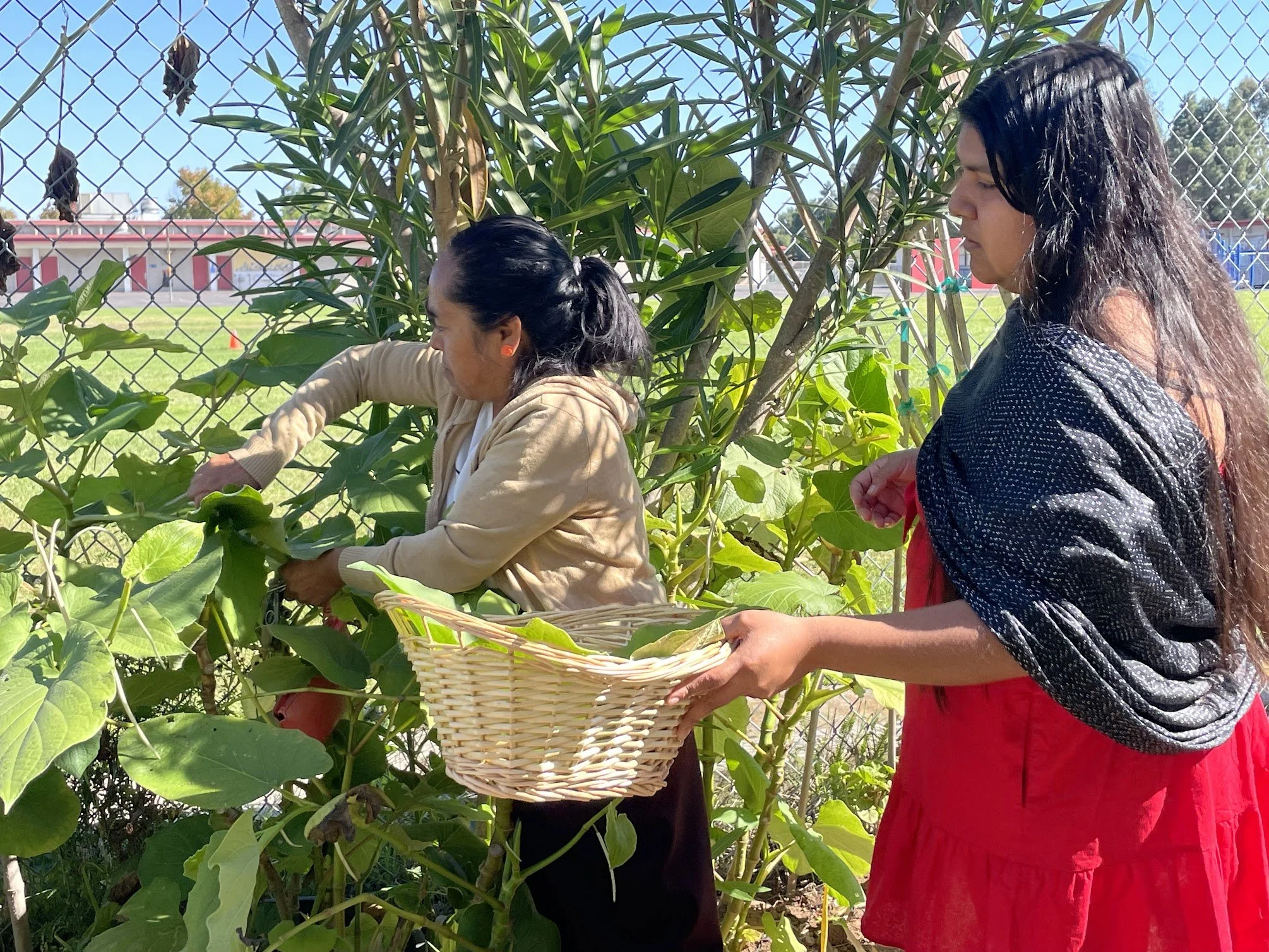 MATI Y ANALLELI_OCTUBRE 30-23.jpg